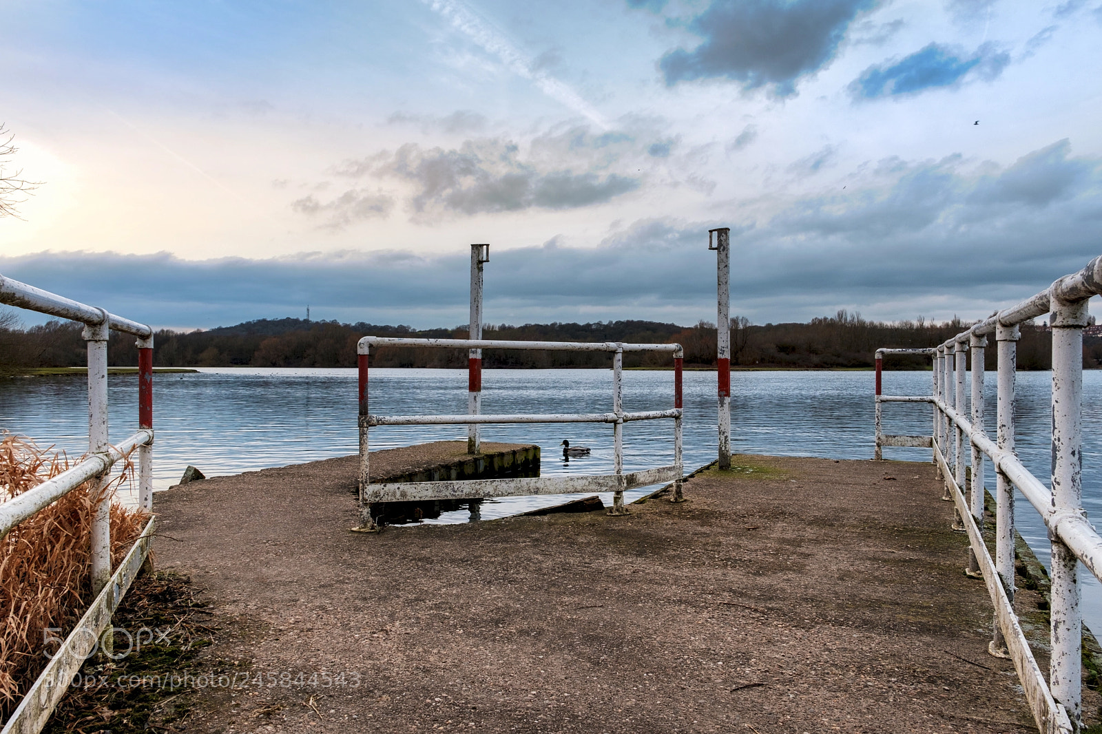 Fujifilm X-T2 sample photo. Colwick park photography