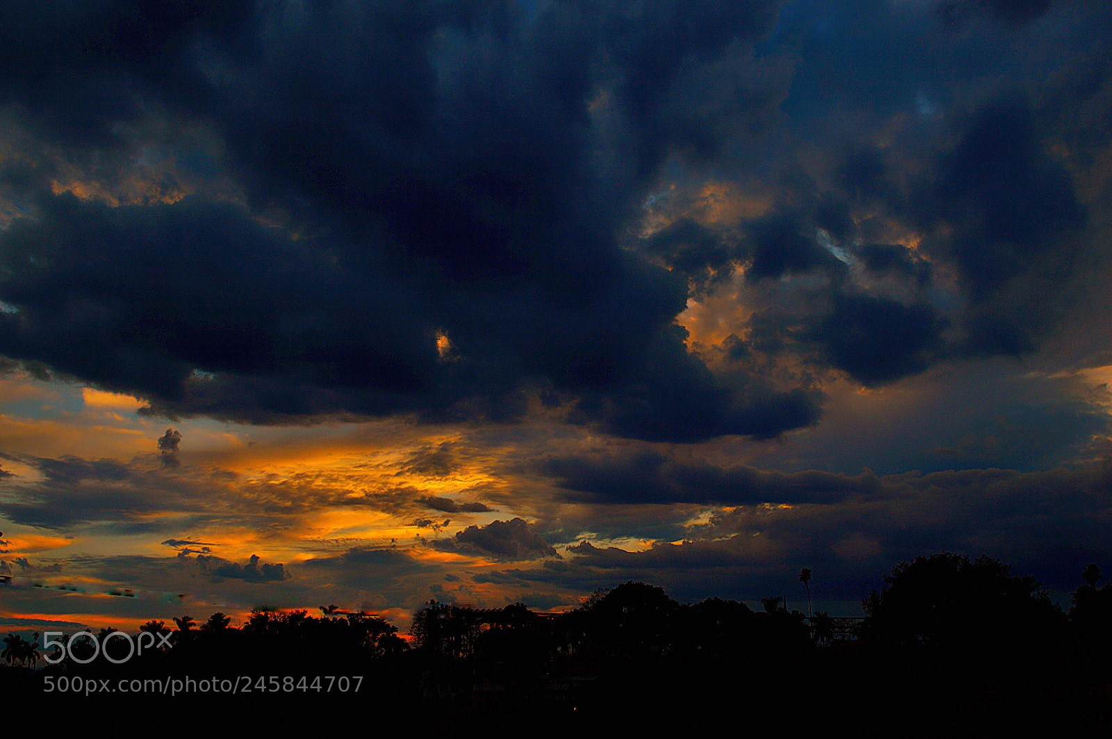 Nikon D3200 sample photo. Untitled photography