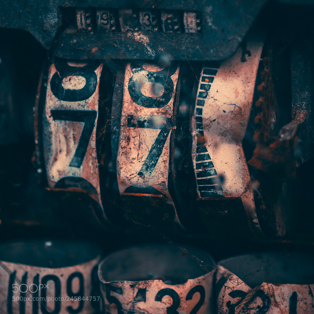 Nikon D5600 sample photo. Dials photography