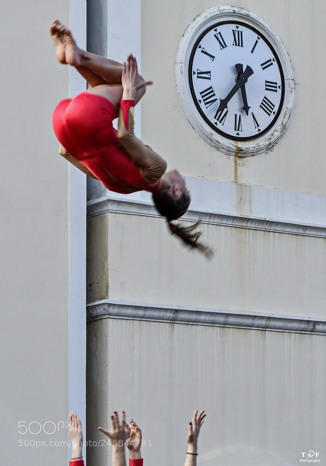 Nikon D500 sample photo. Untitled photography