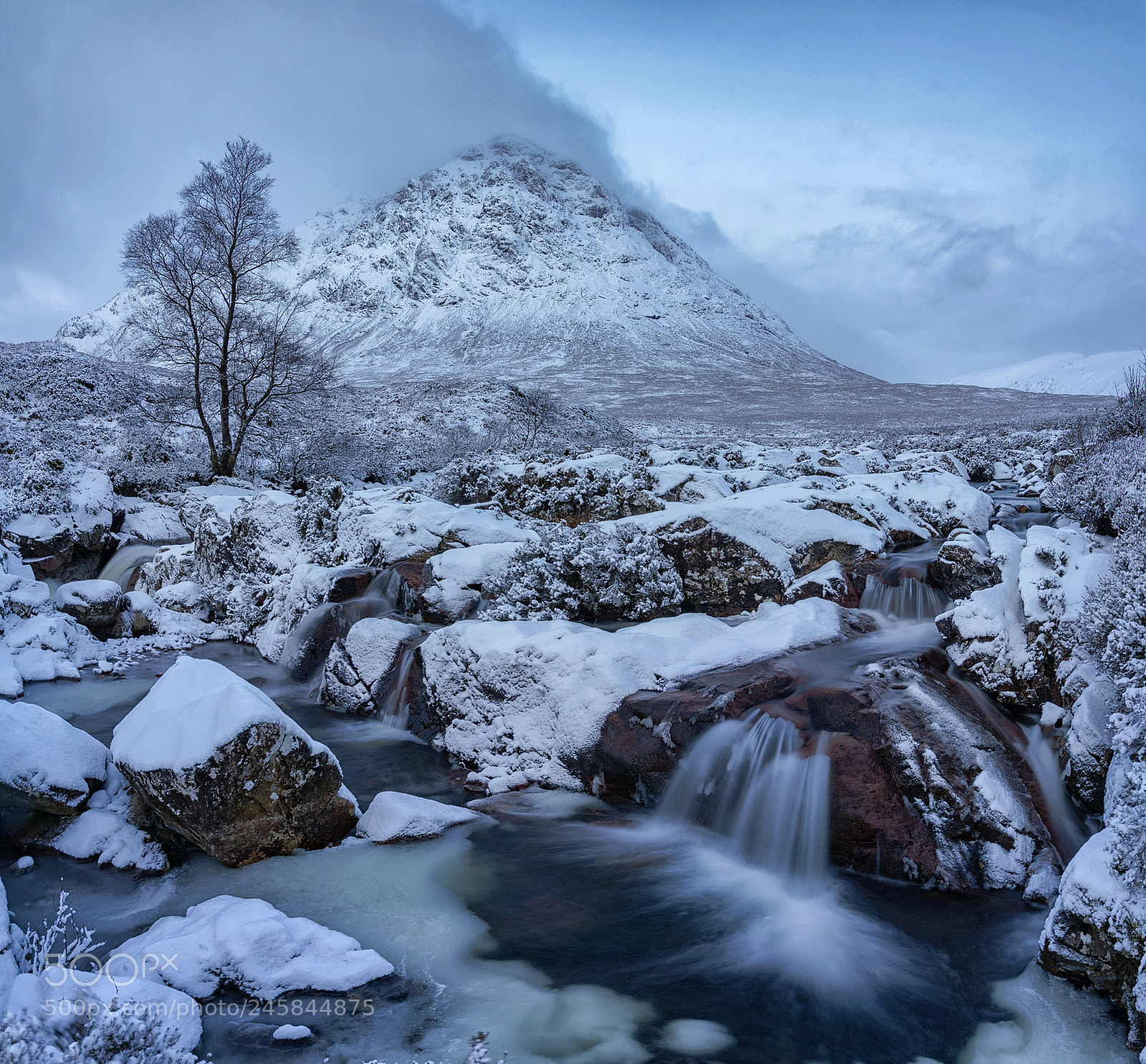 Nikon D800 sample photo. Winter photography