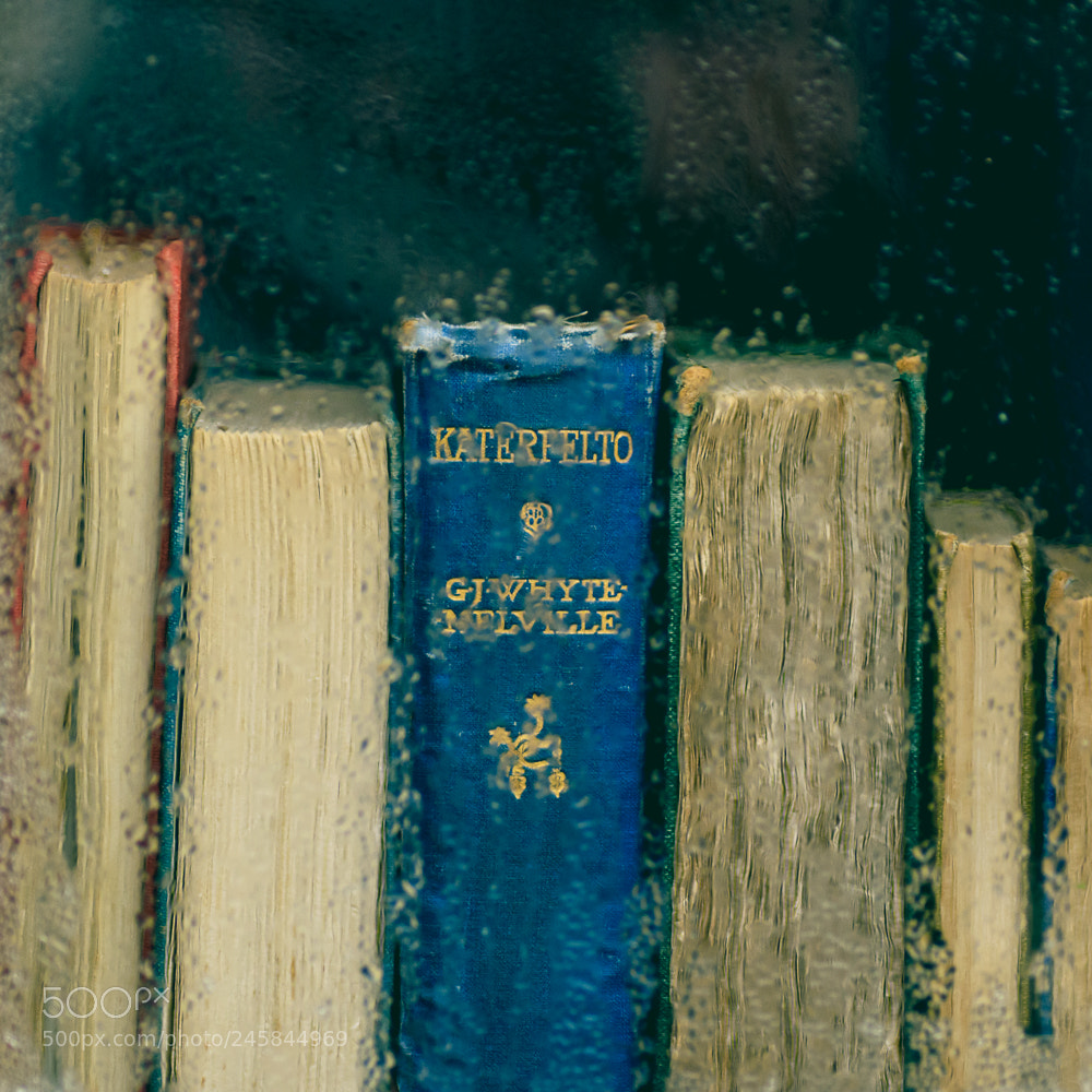 Nikon D5600 sample photo. Books photography