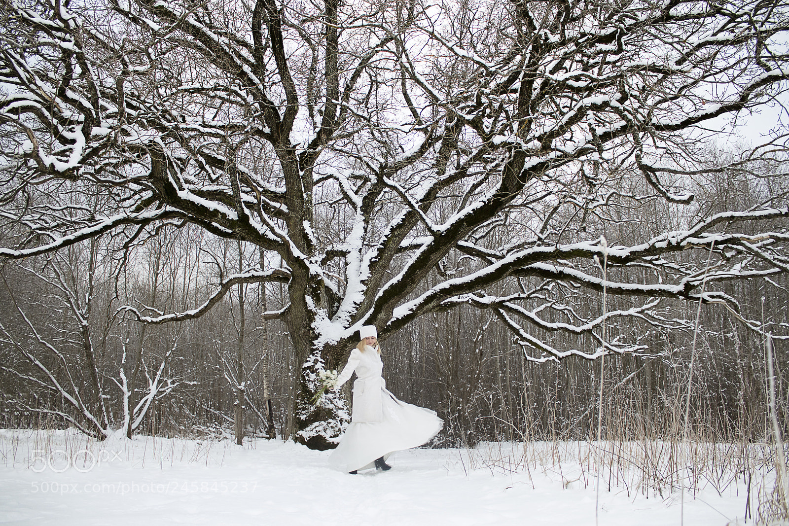 Canon EOS 77D (EOS 9000D / EOS 770D) sample photo. White dress photography