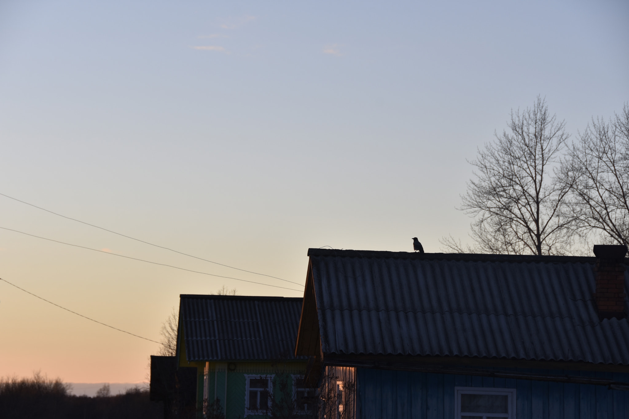 Nikon D7200 sample photo. On guard! photography