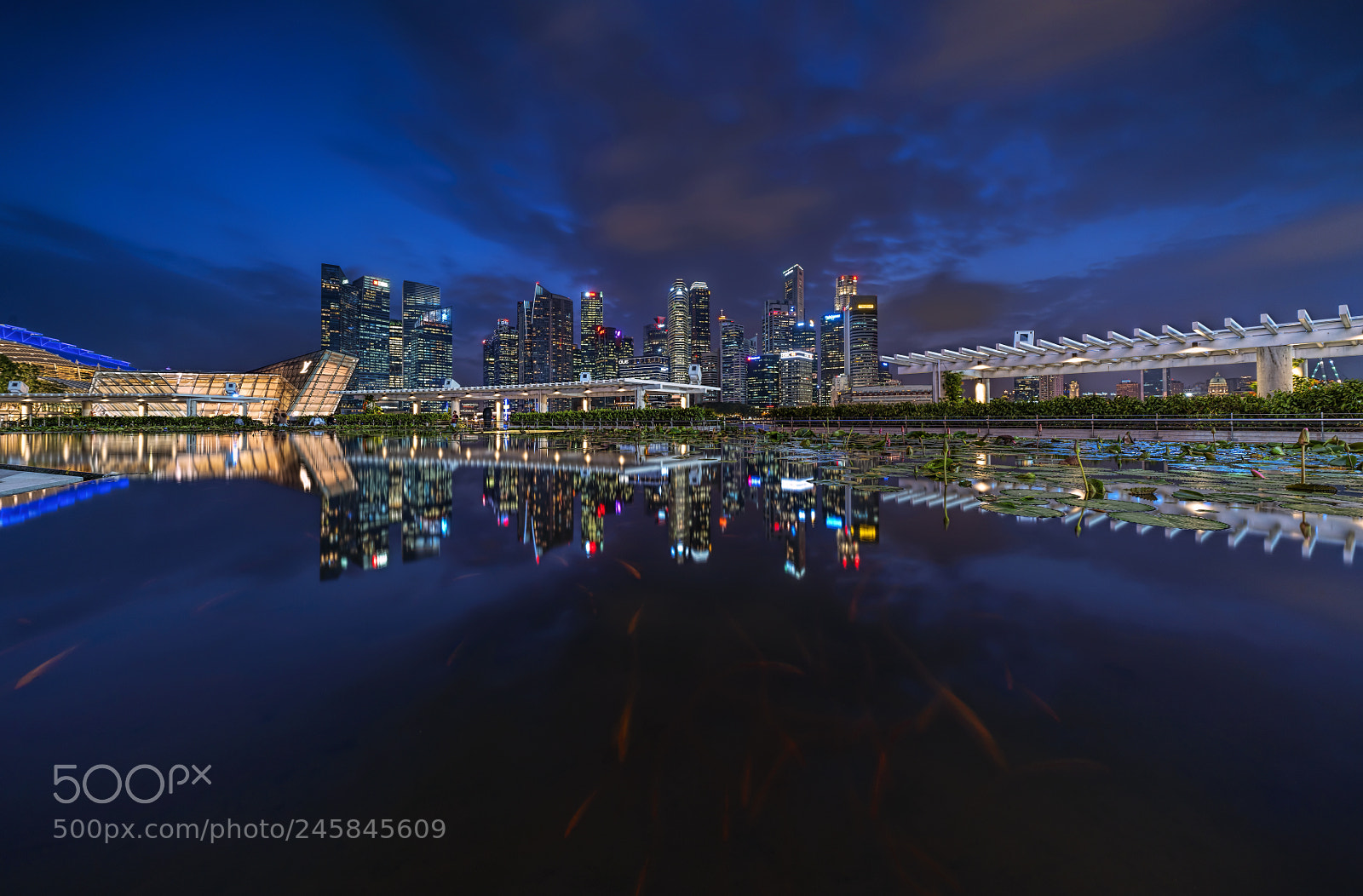 Sony a7R II sample photo. Shenton skyline photography