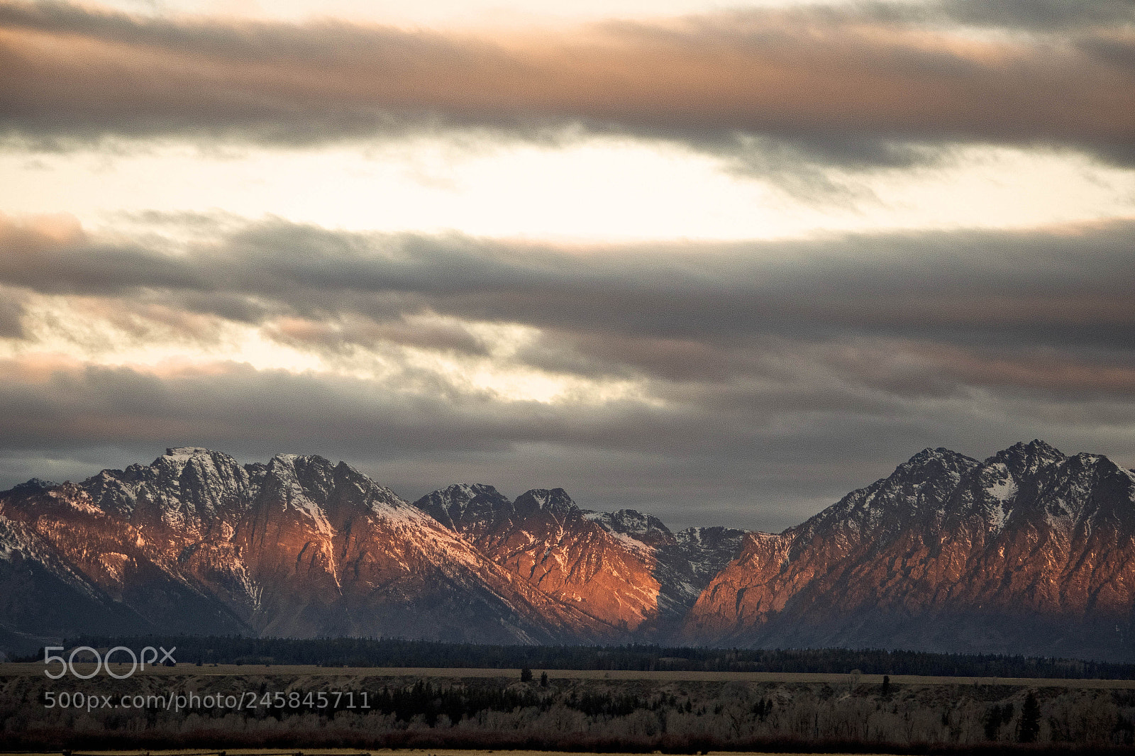 Nikon D810 sample photo. Morning glow photography