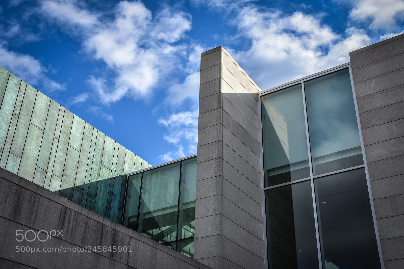 Nikon D7200 sample photo. Untitled photography