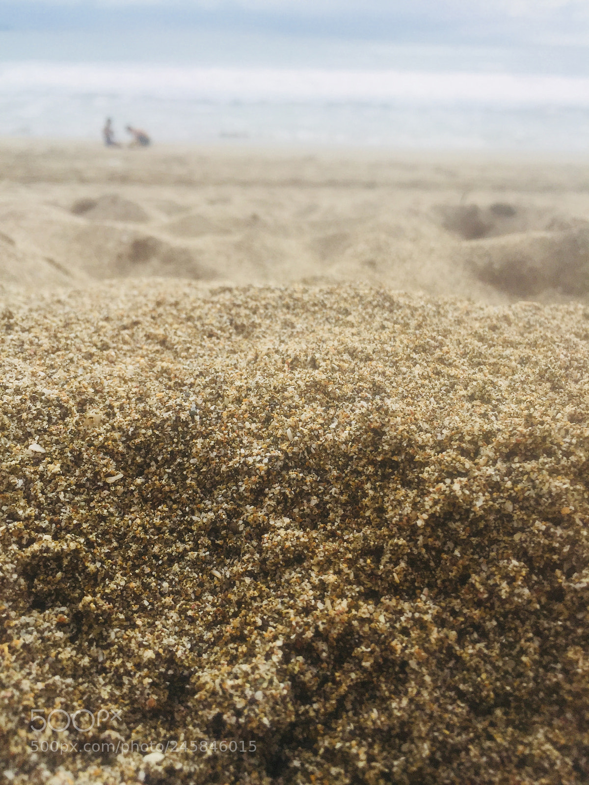 Apple iPhone 6 sample photo. Untitled photography