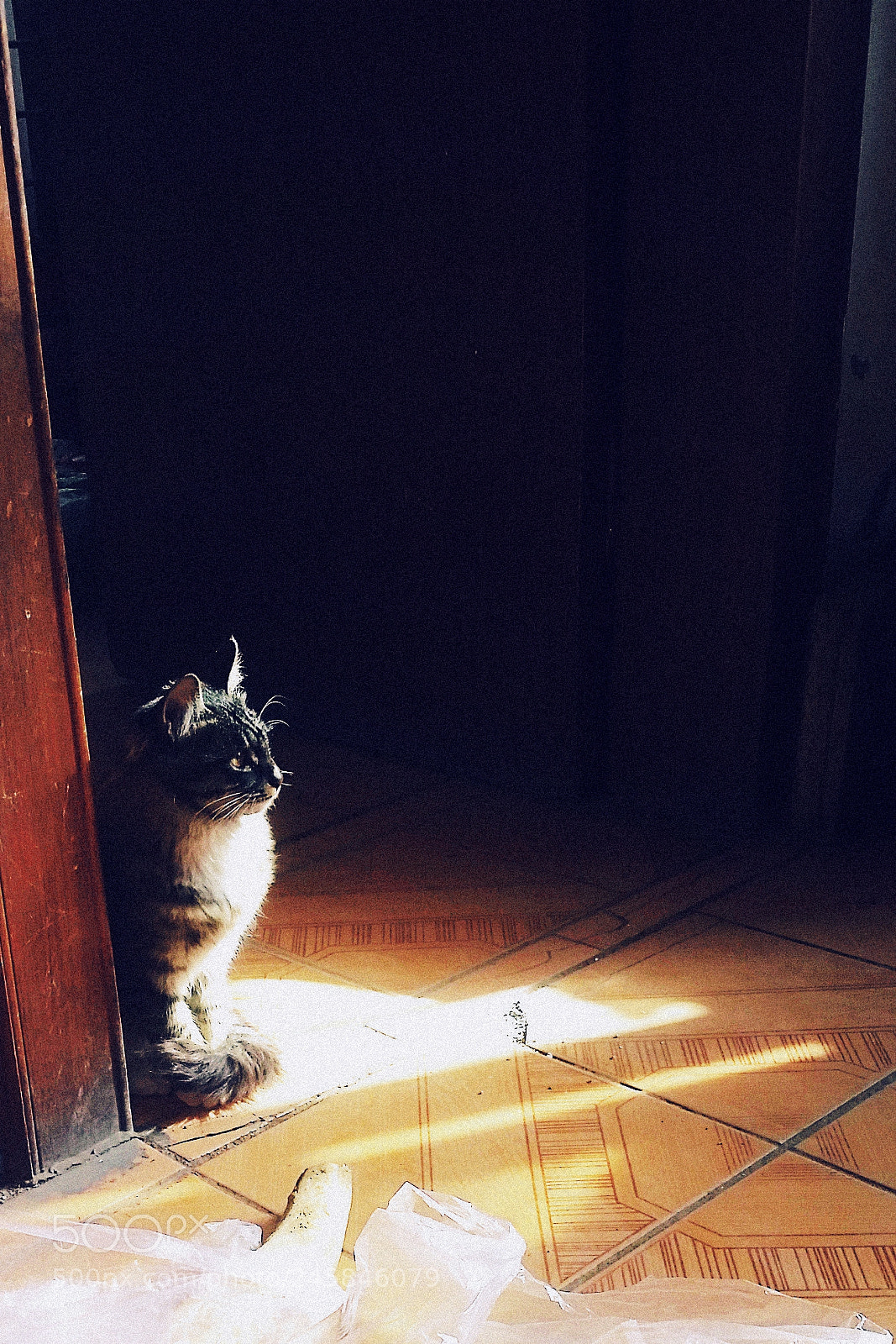 Samsung Galaxy S5 sample photo. Untitled photography