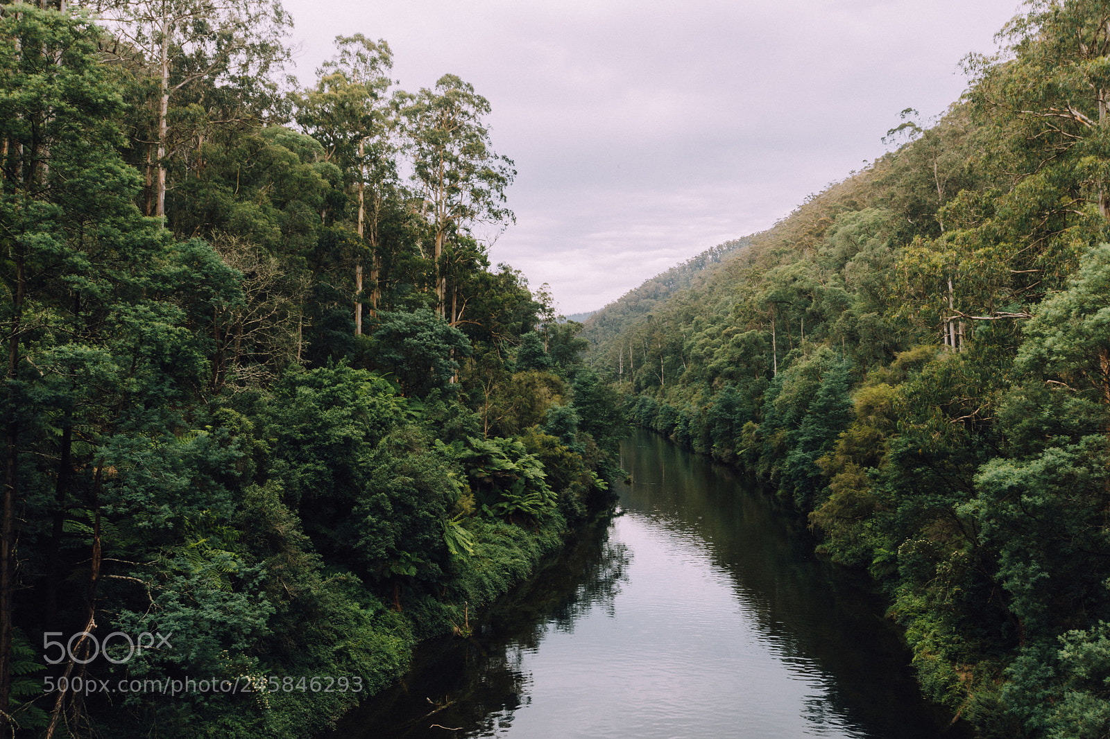 Nikon D7200 sample photo. The thomson river near photography