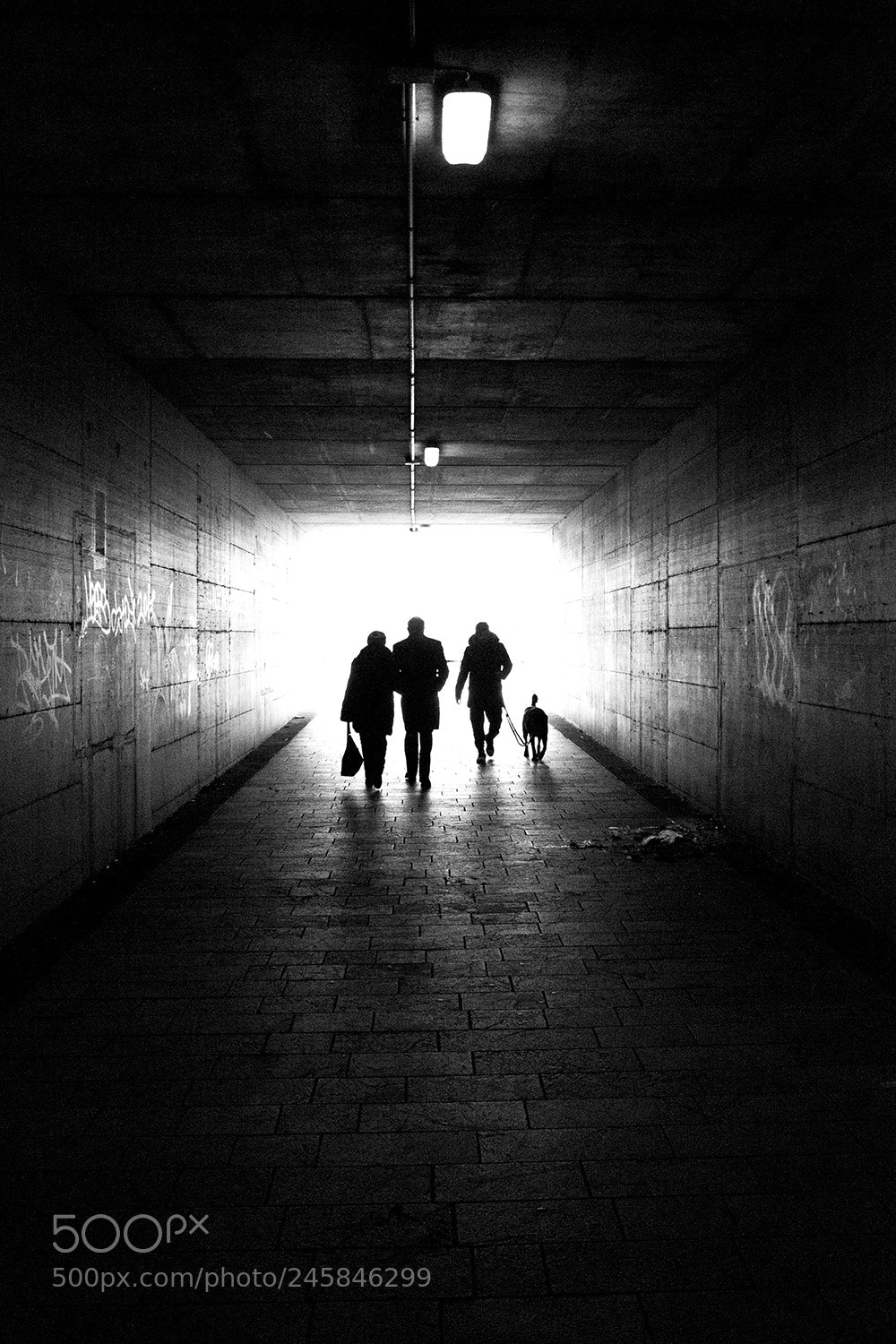 Fujifilm X100S sample photo. Untitled photography