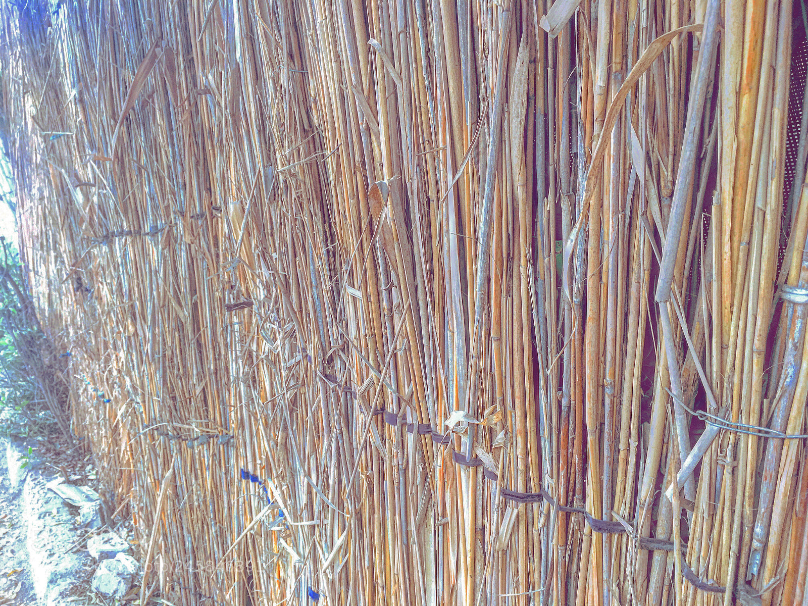 Apple iPhone 6s Plus sample photo. Untitled photography