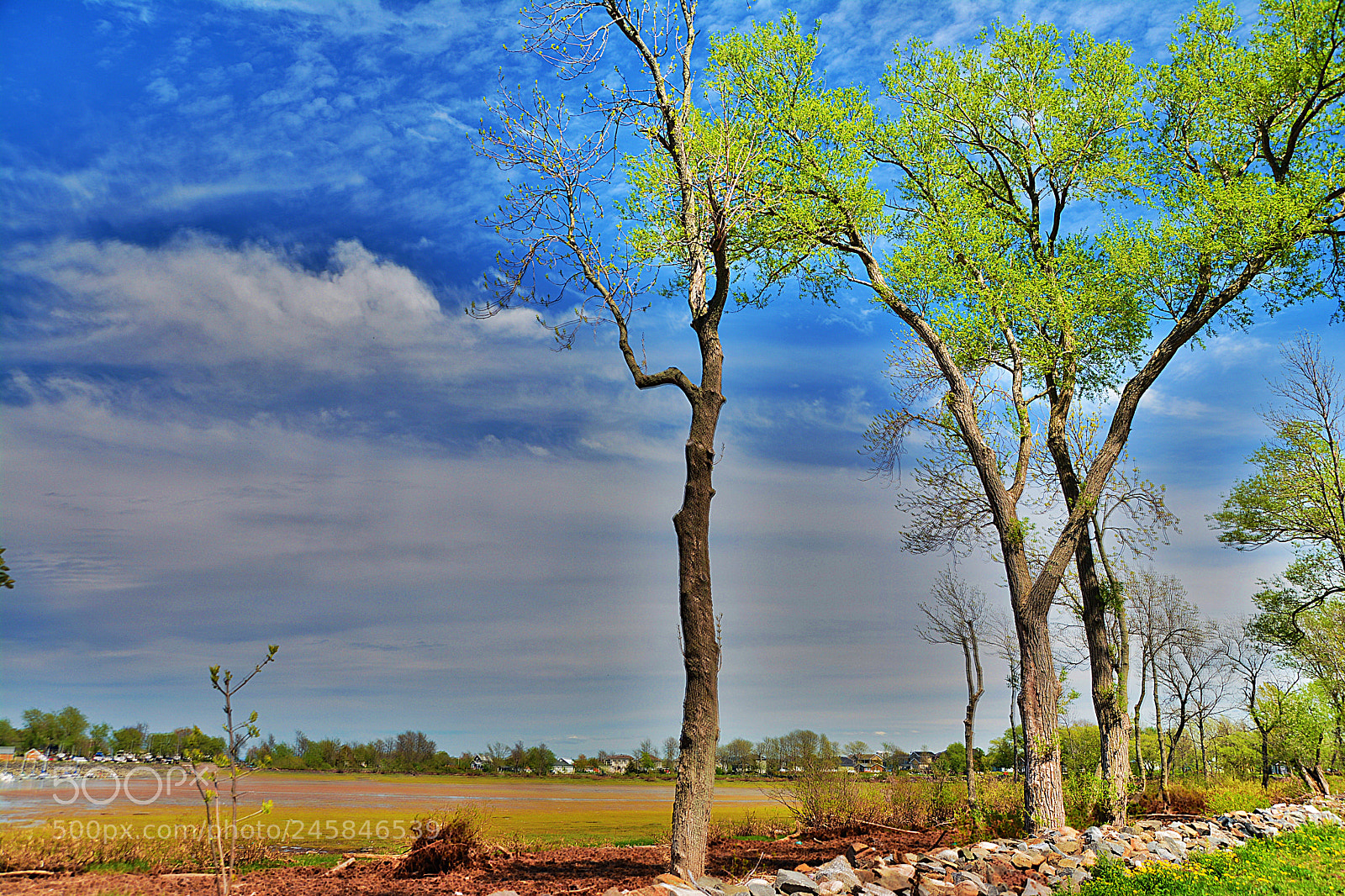 Nikon D7100 sample photo. Nature photography