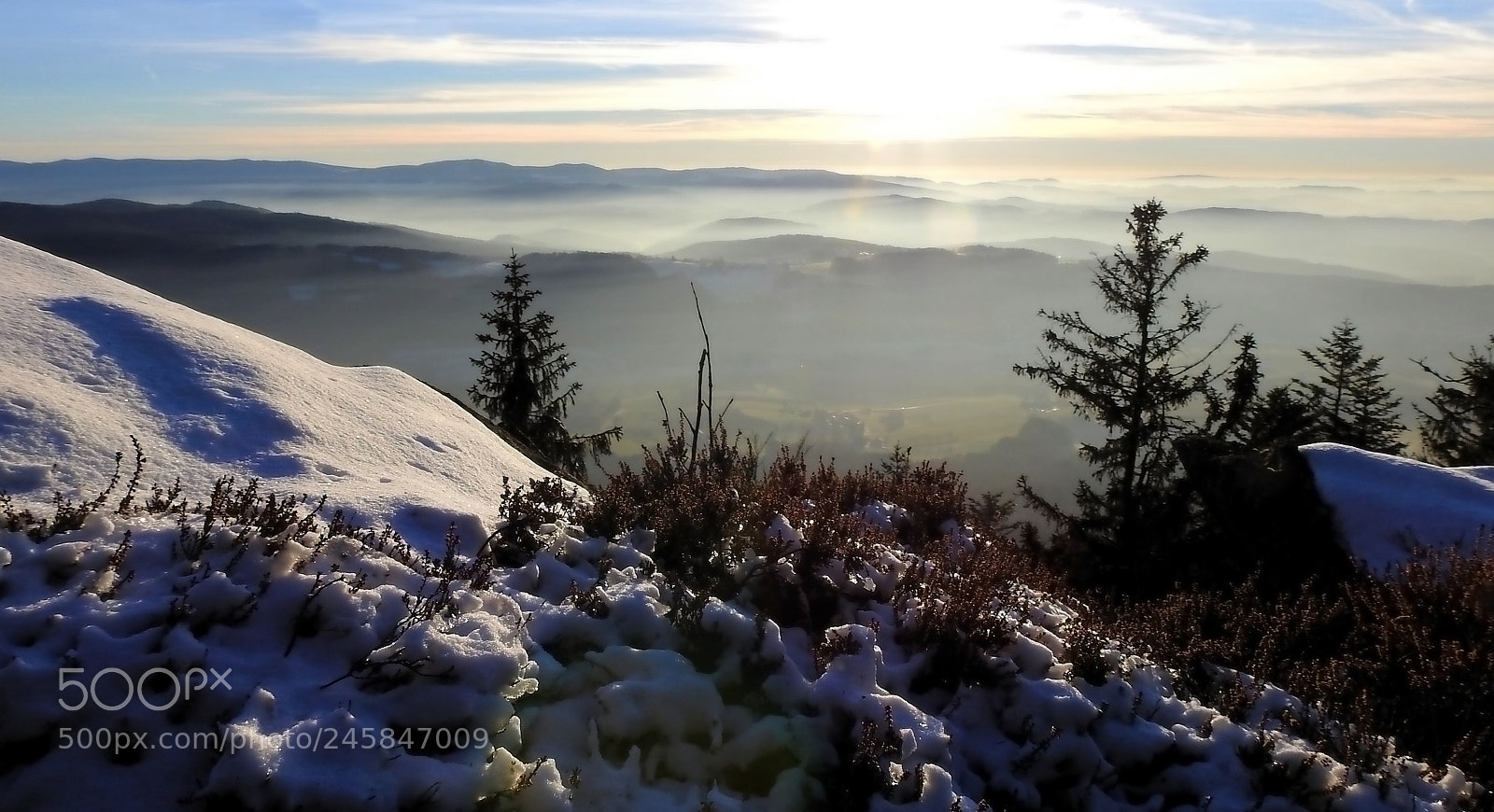 Nikon Coolpix P900 sample photo. Wintersonne photography