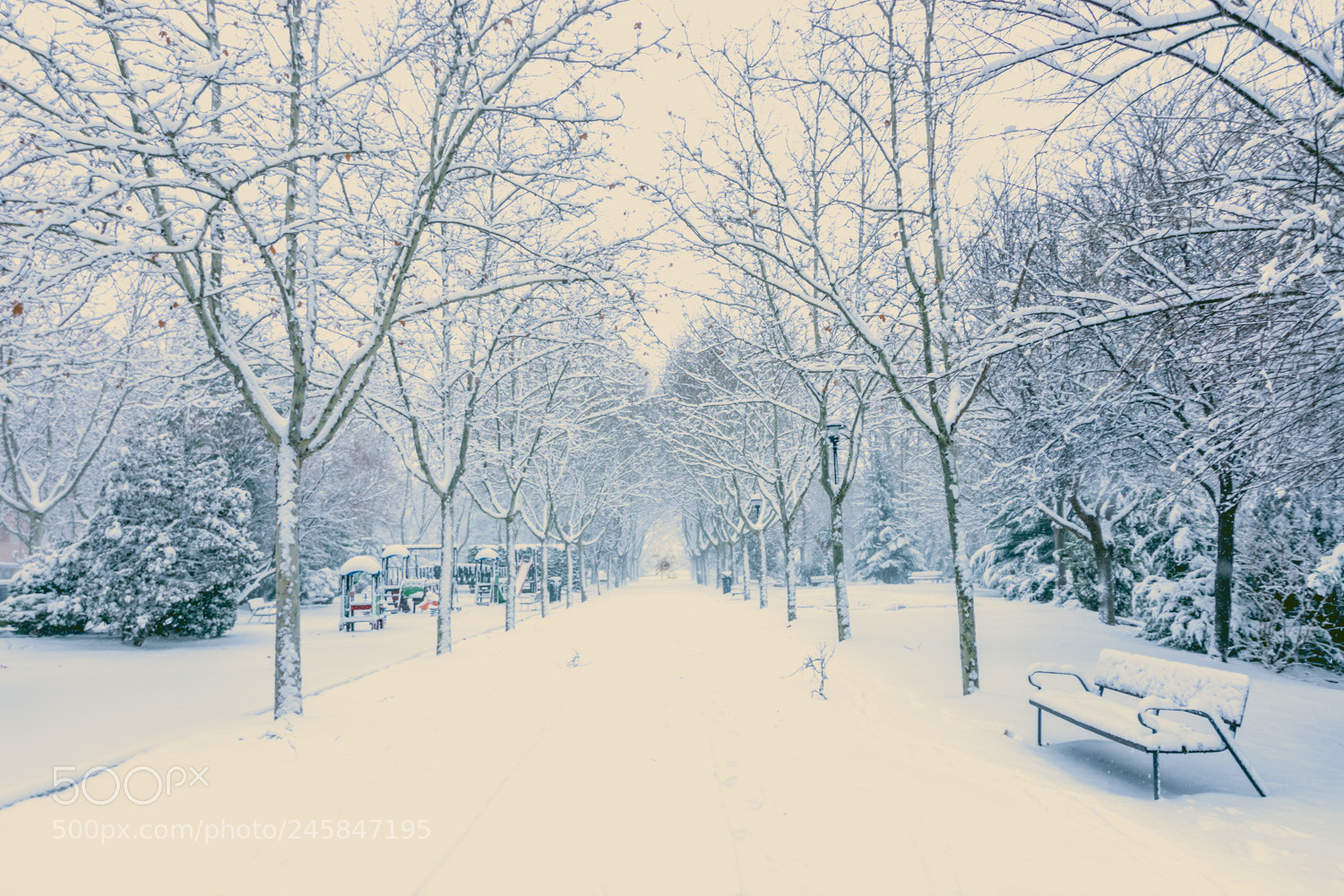Nikon D7100 sample photo. Nieve photography