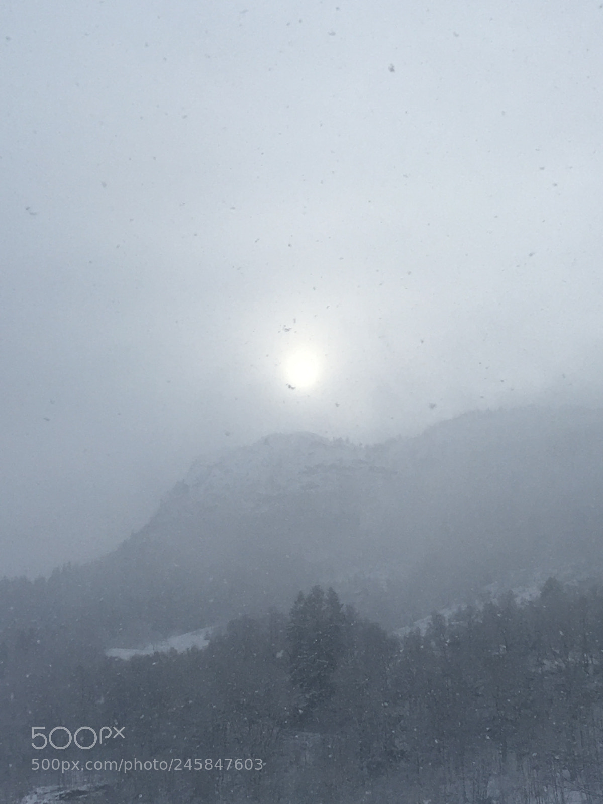 Apple iPhone 6s sample photo. Sun through snow photography