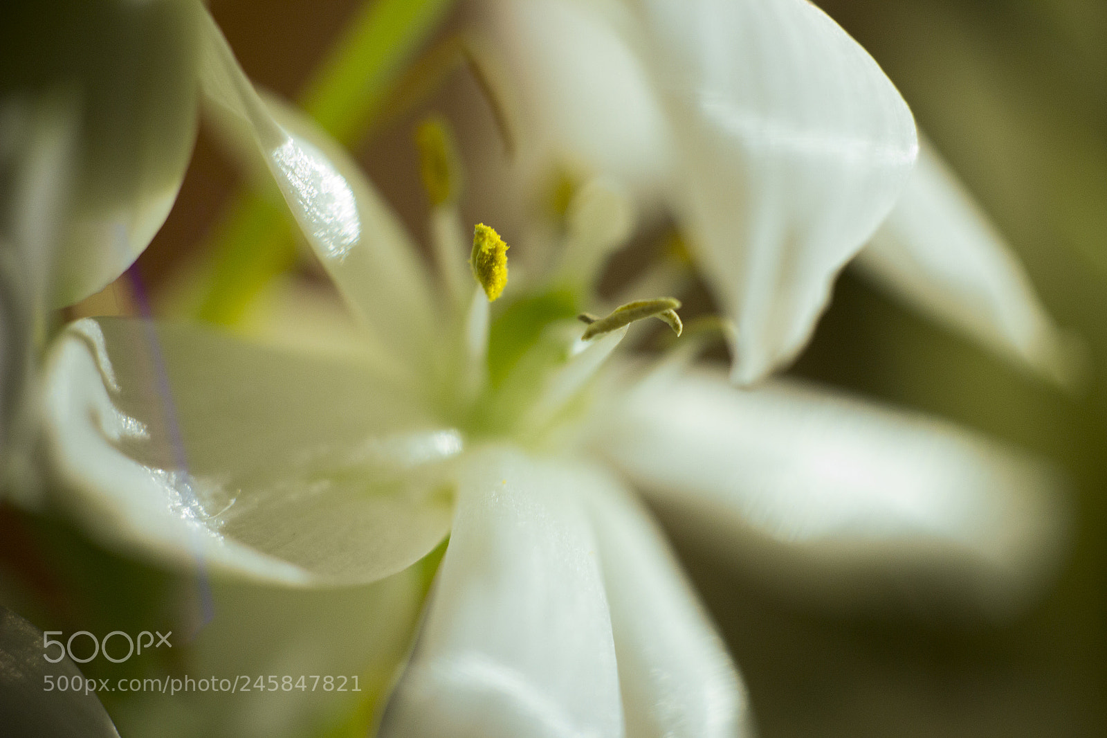 Canon EOS 60D sample photo. 40 photography