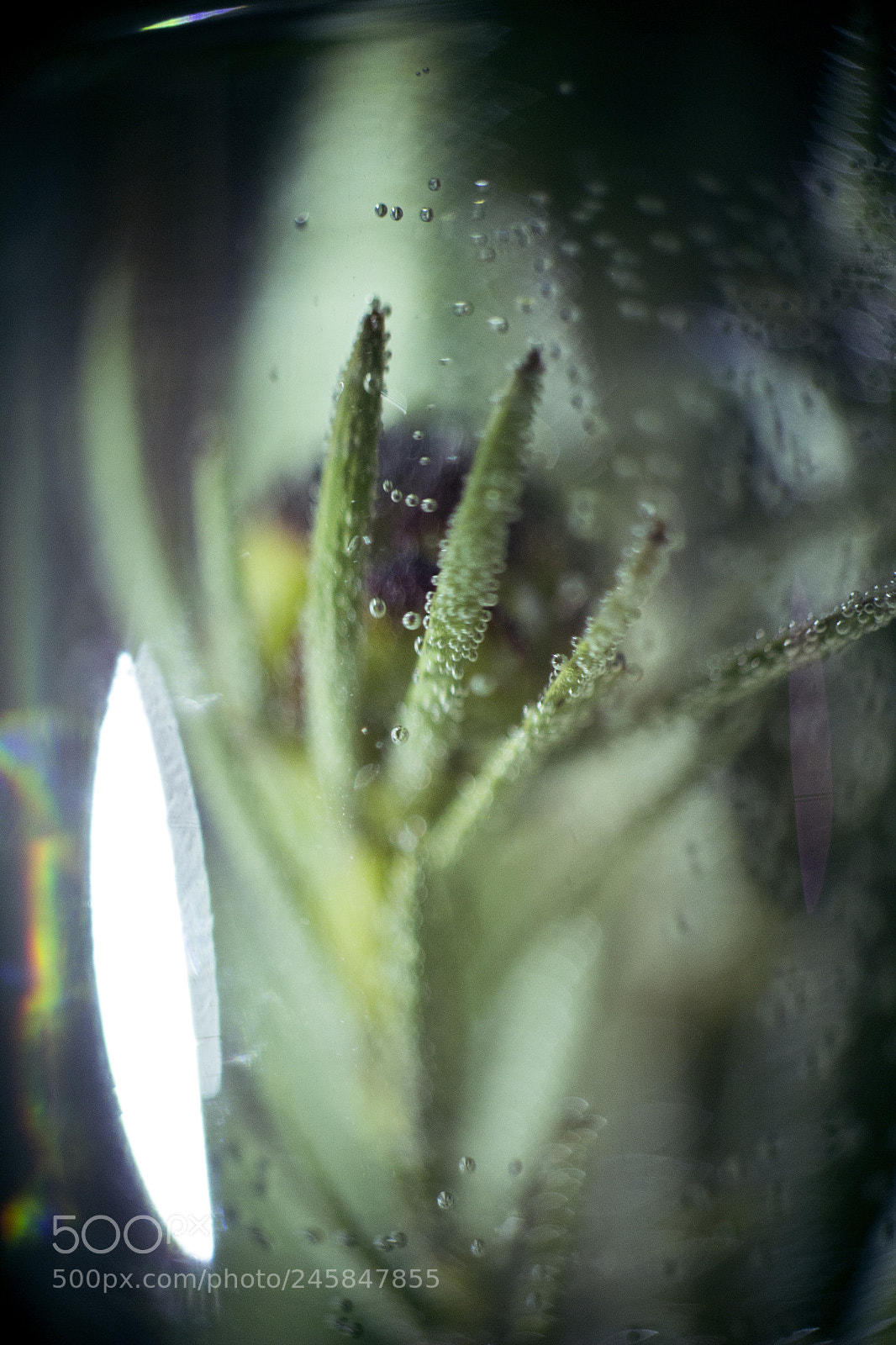 Canon EOS 60D sample photo. 404 photography