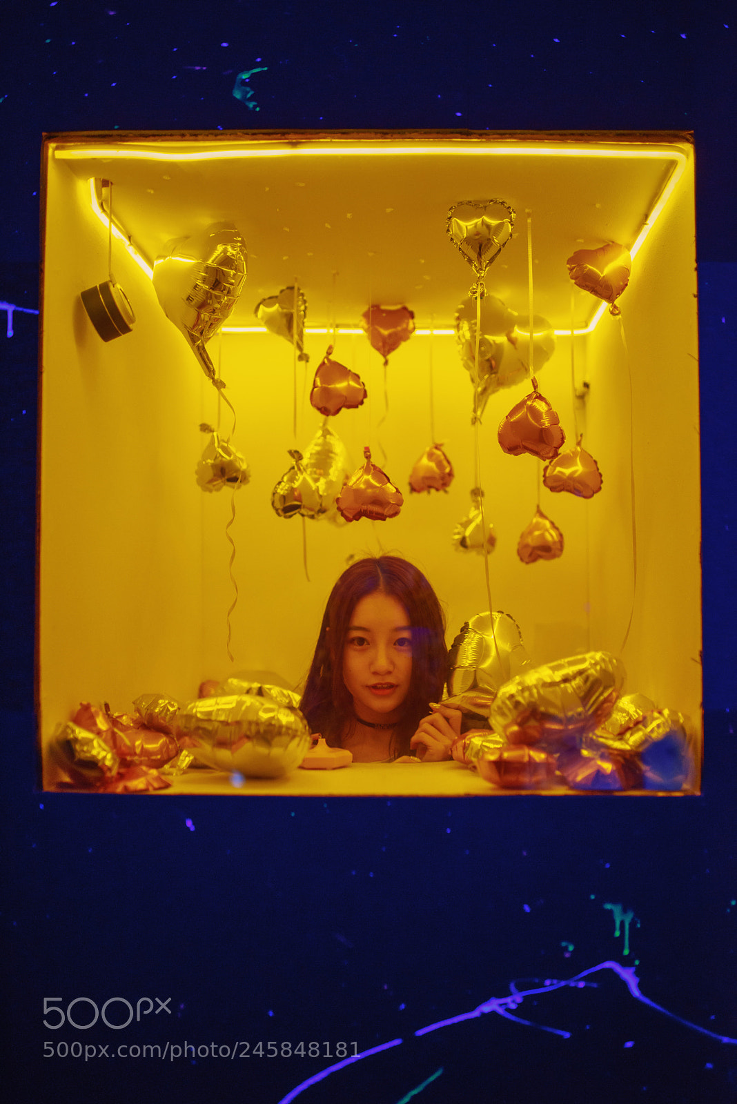 Nikon D810 sample photo. Brain in a box photography