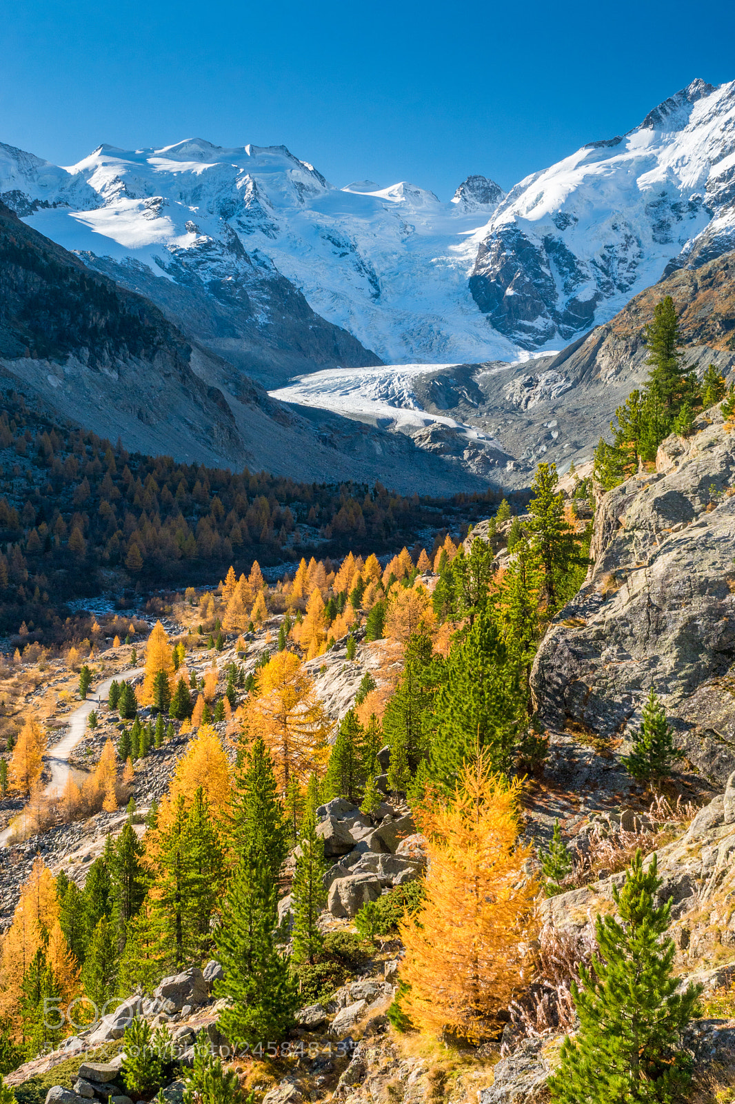 Sony ILCA-77M2 sample photo. Saoseo morteratsch photography