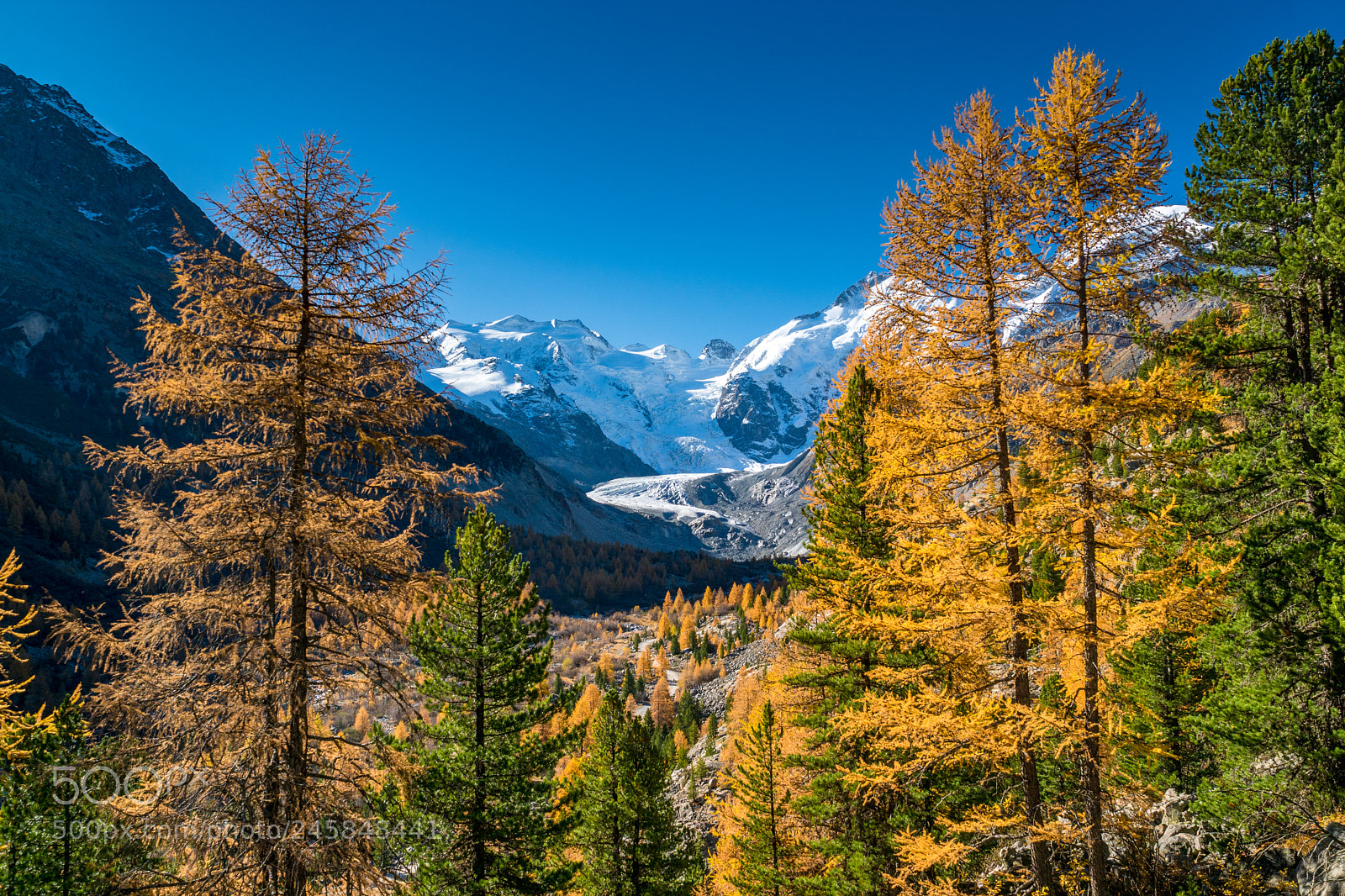 Sony ILCA-77M2 sample photo. Saoseo morteratsch photography