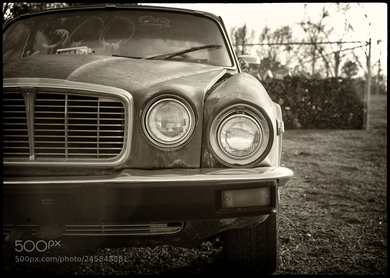 Leica M Monochrom (Typ 246) sample photo. This ol' jag photography
