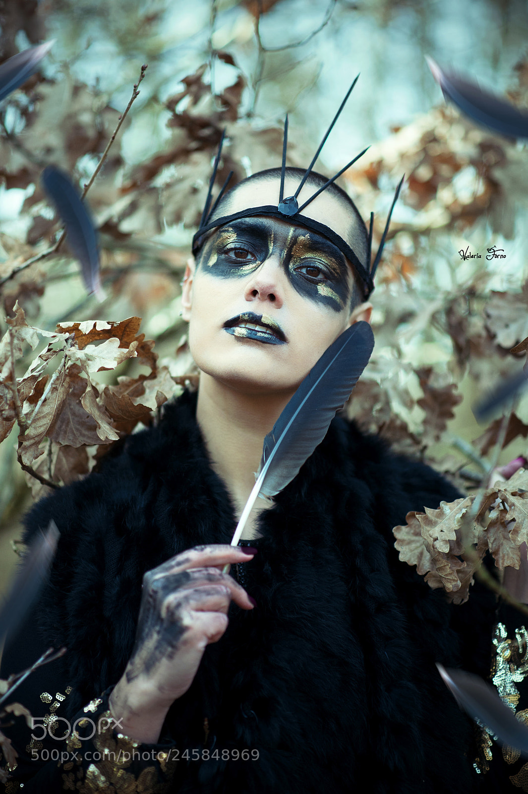 Nikon D700 sample photo. The crow queen photography