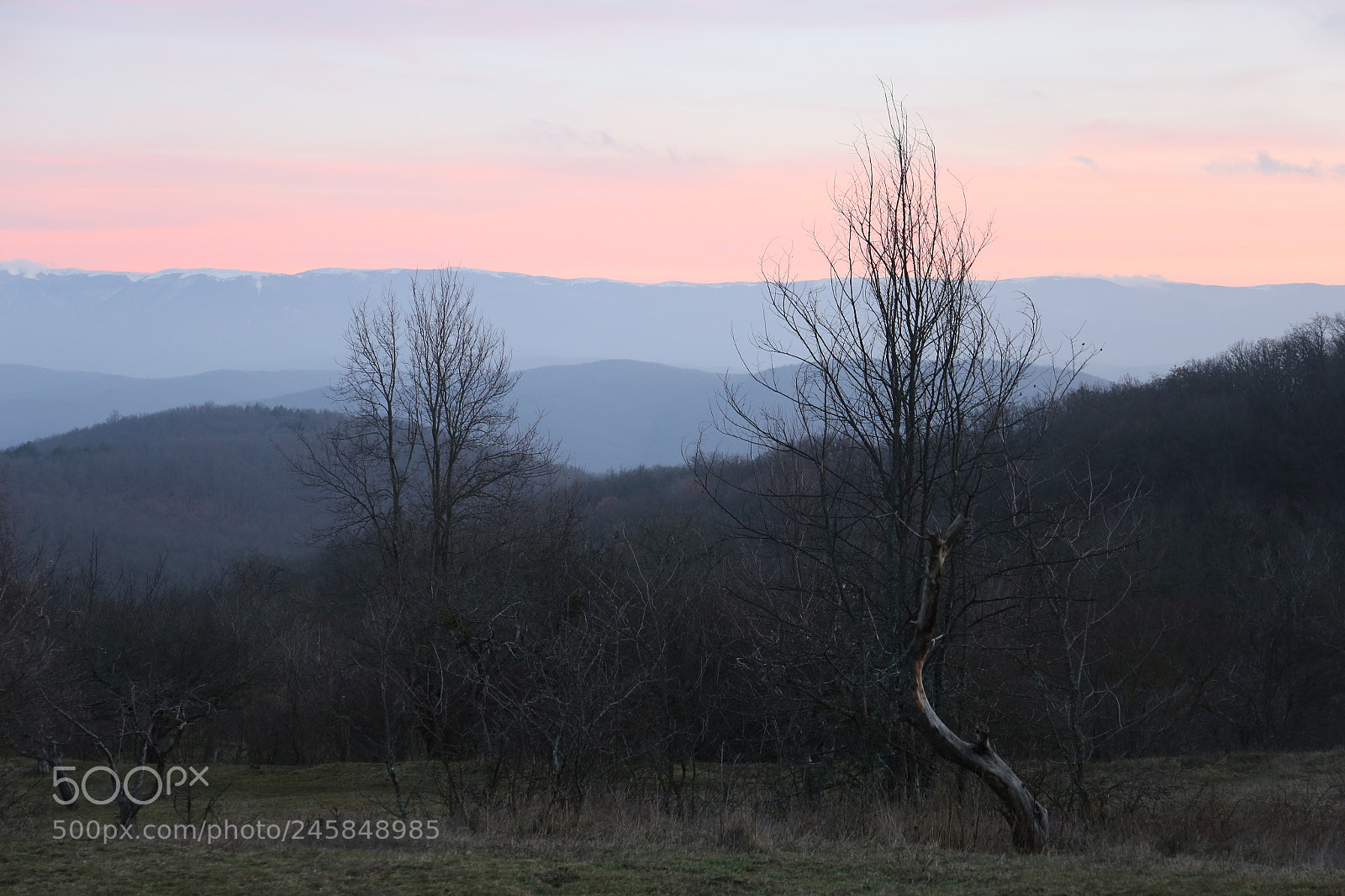 Canon EF 24-70mm F4L IS USM sample photo. Tenderness photography