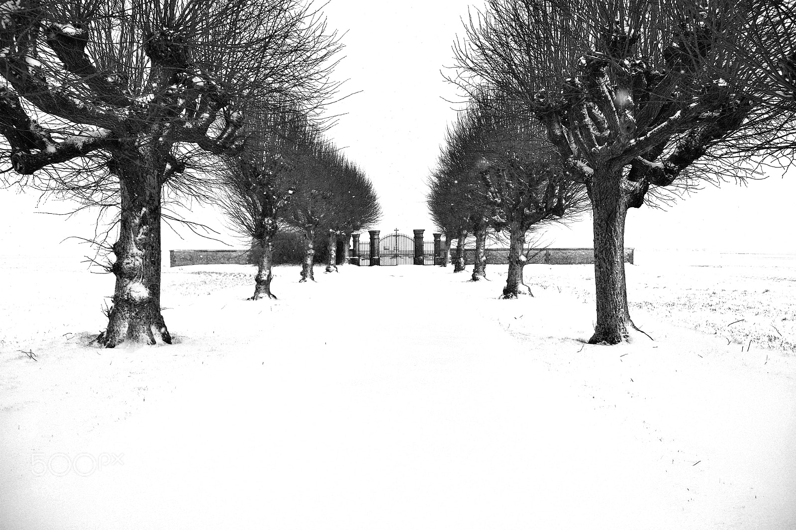 Nikon D7100 sample photo. La neige...acte ii... photography