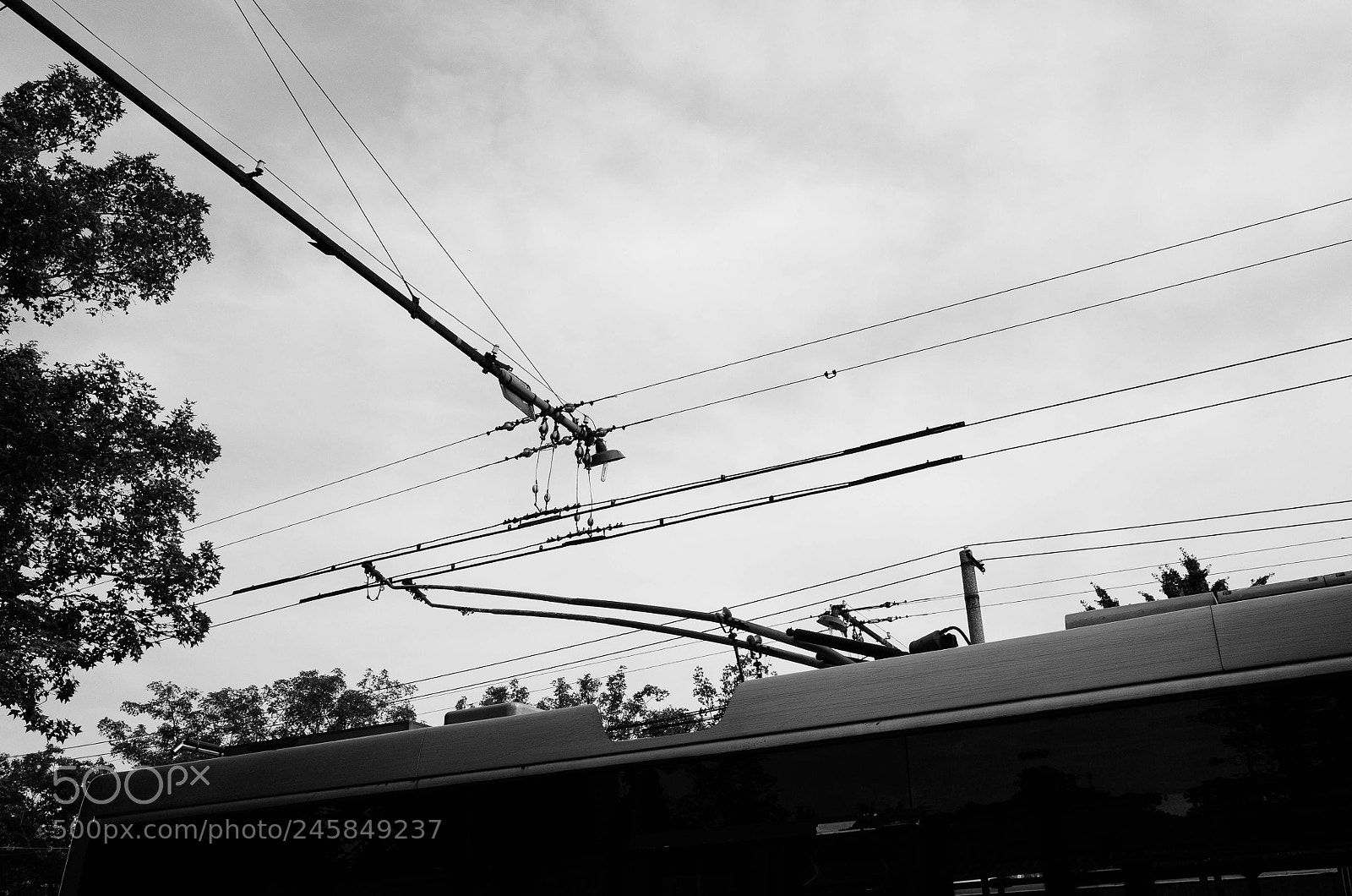 Ricoh GR sample photo. Trolleybus photography