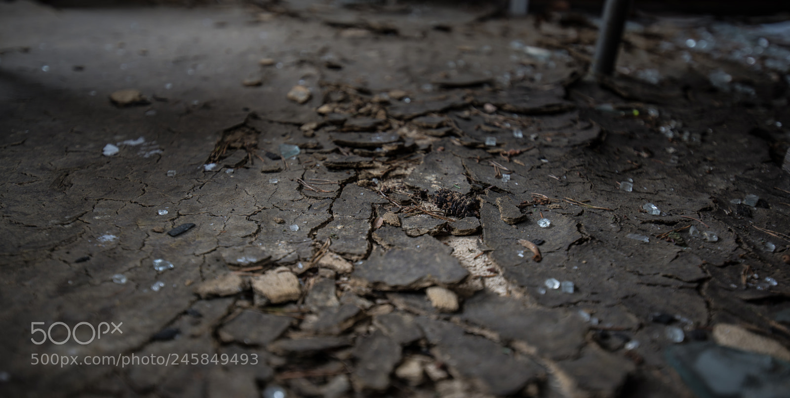 Nikon D610 sample photo. Le locle photography