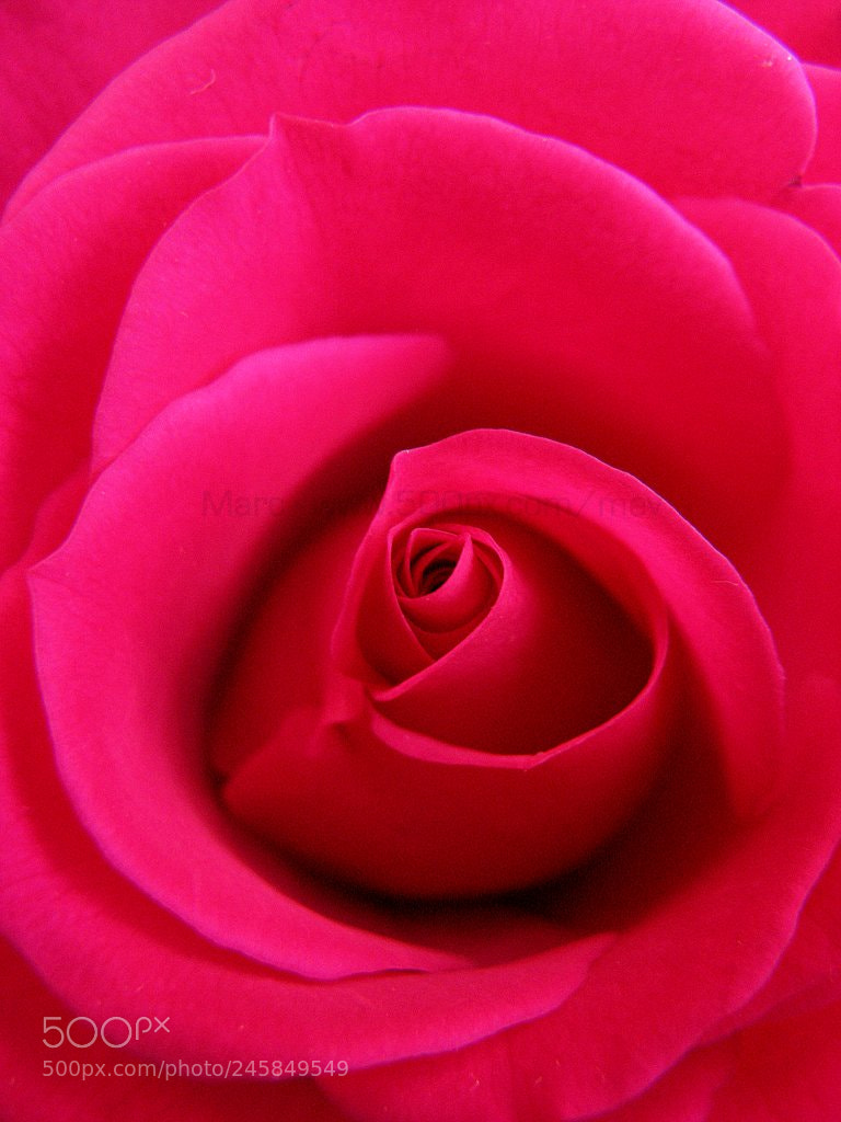 Canon POWERSHOT S5 IS sample photo. World delight photography