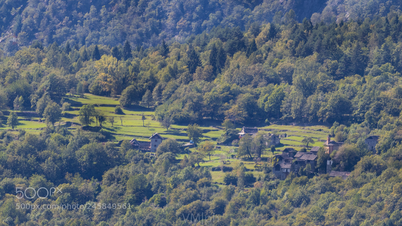 Canon EOS 7D Mark II sample photo. Green simbo photography