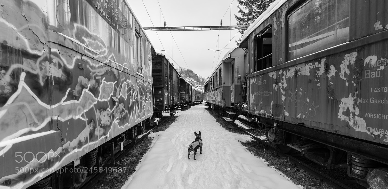 Nikon D610 sample photo. Le locle photography