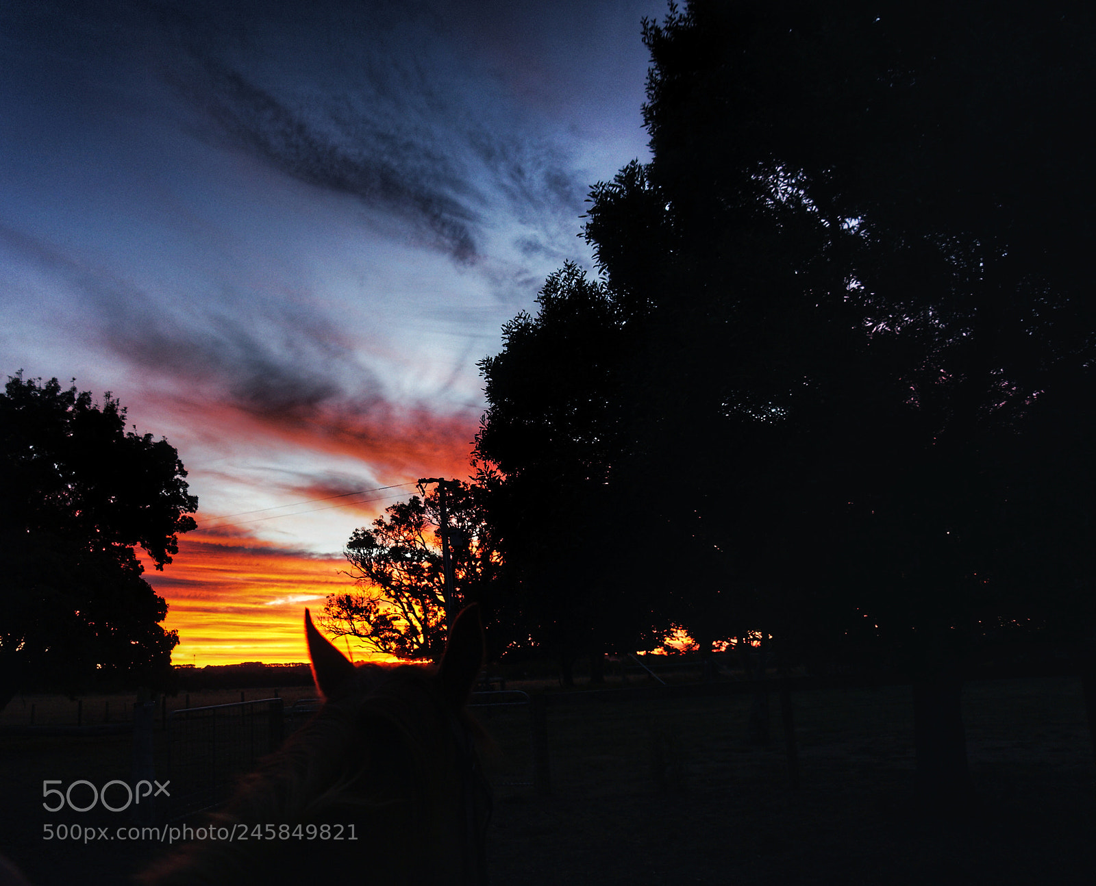 Sony Alpha a3500 sample photo. Untitled photography