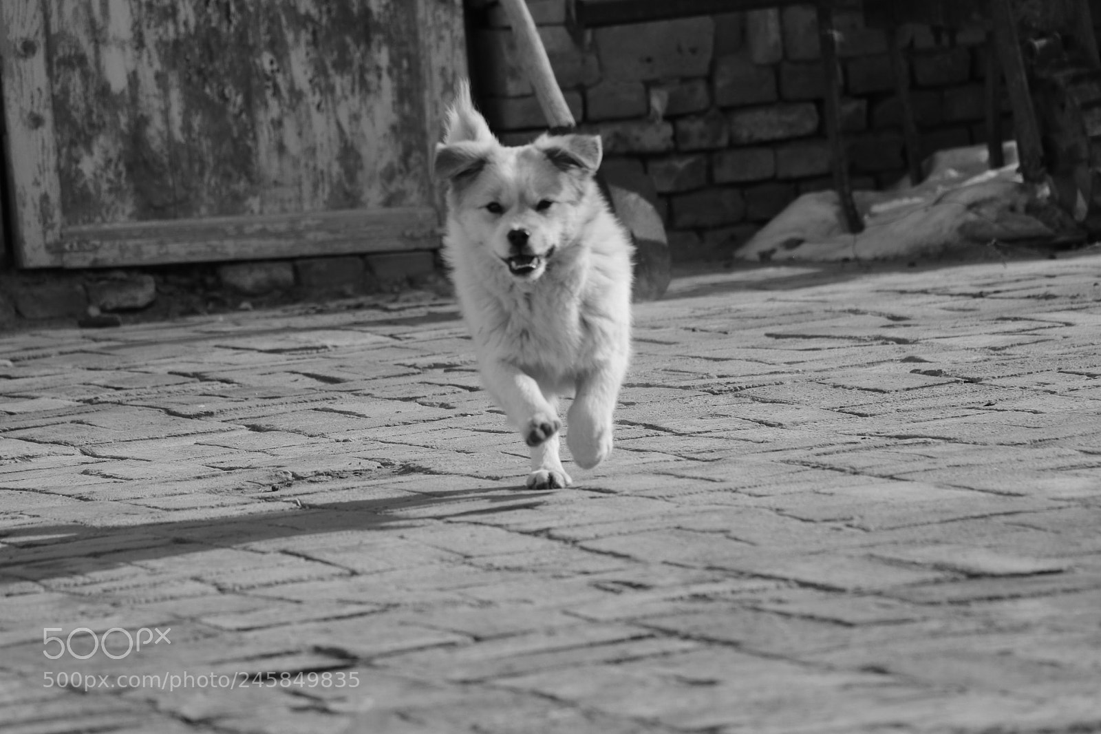 Canon EOS 750D (EOS Rebel T6i / EOS Kiss X8i) sample photo. Untitled photography