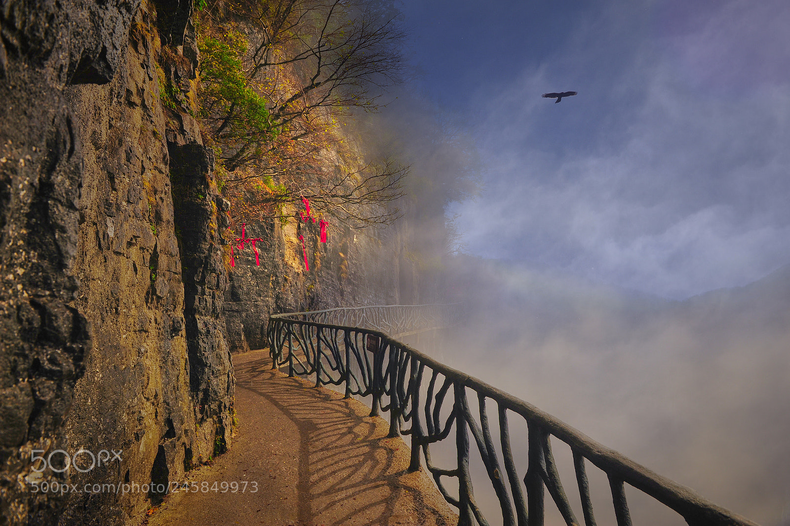 Nikon D700 sample photo. High in the mountains photography