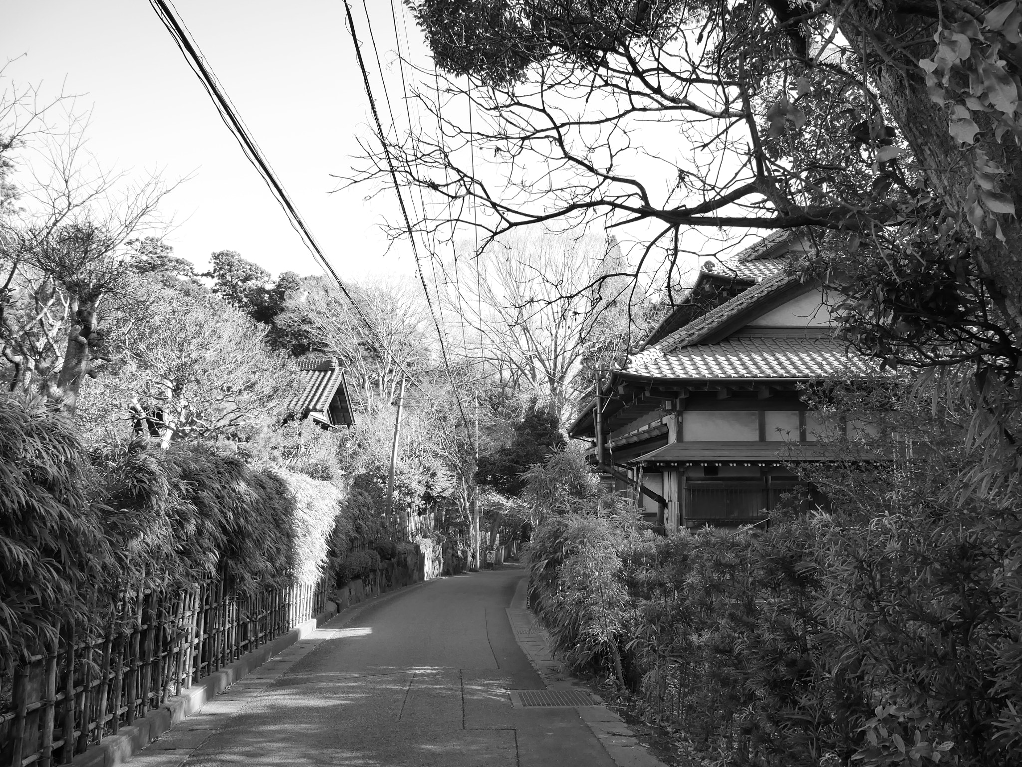 Panasonic Lumix DMC-GX85 (Lumix DMC-GX80 / Lumix DMC-GX7 Mark II) sample photo