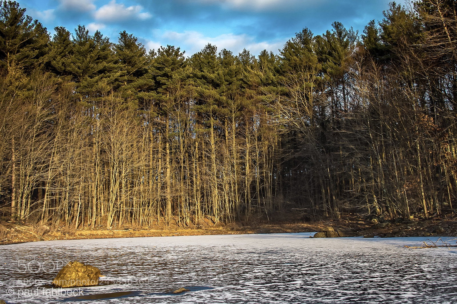 Nikon D7200 sample photo. Bowl of trees photography