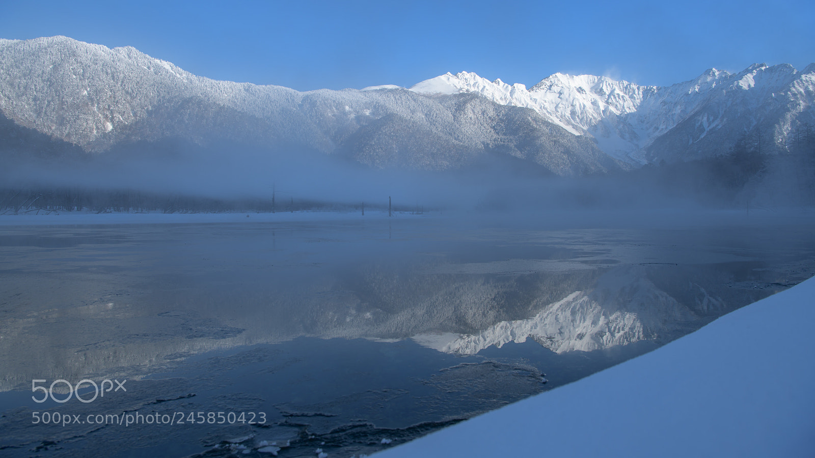Nikon D850 sample photo. Winter fog photography