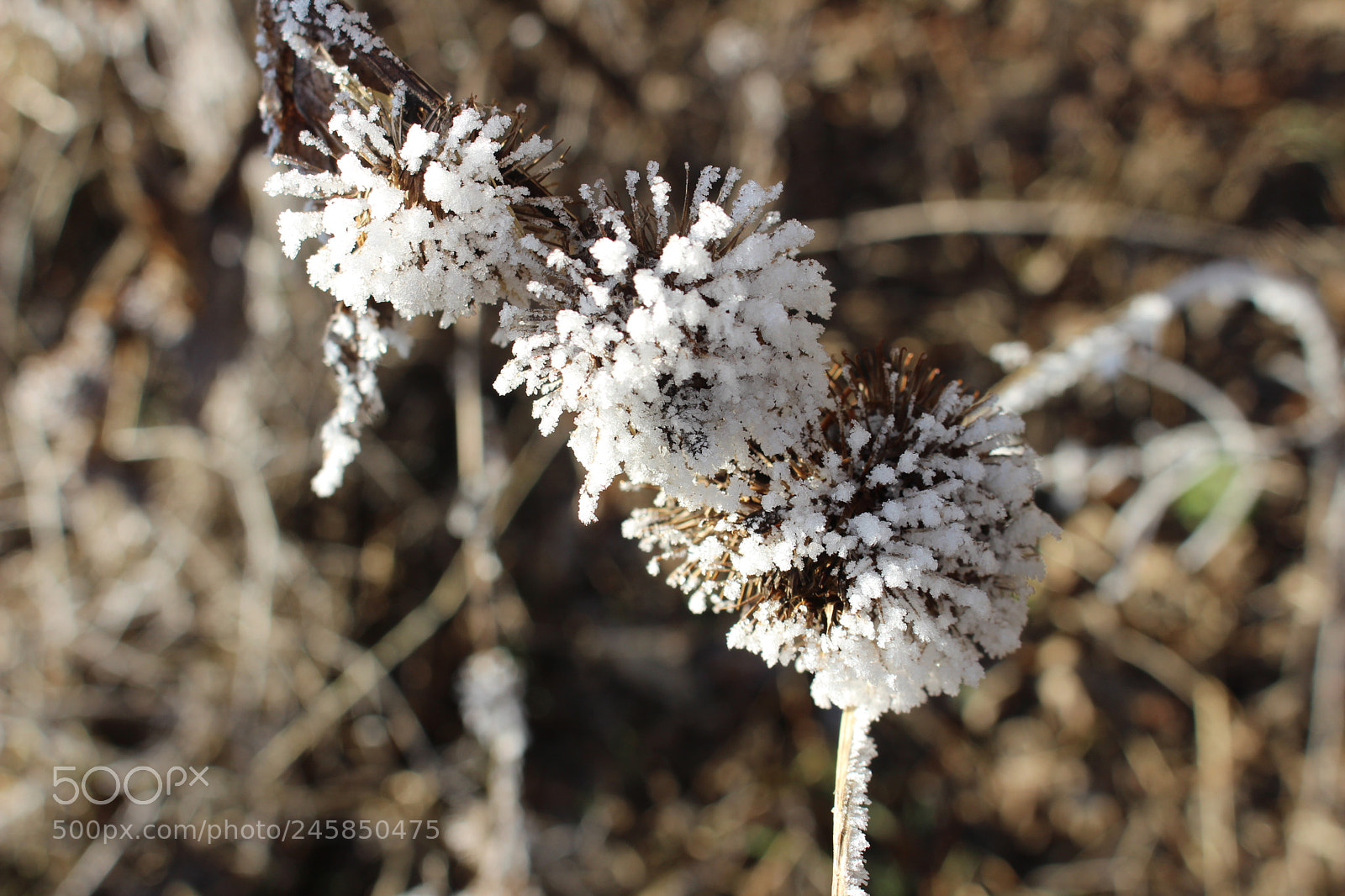 Canon EOS 700D (EOS Rebel T5i / EOS Kiss X7i) sample photo. Ice photography