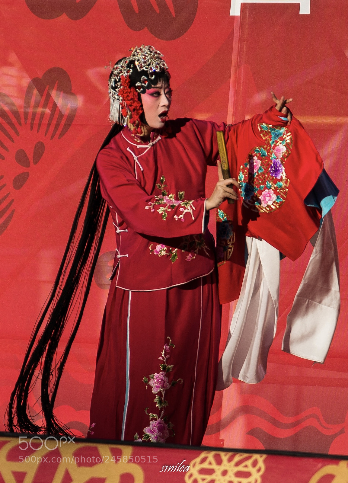 Nikon D7100 sample photo. Chinese show in rome photography