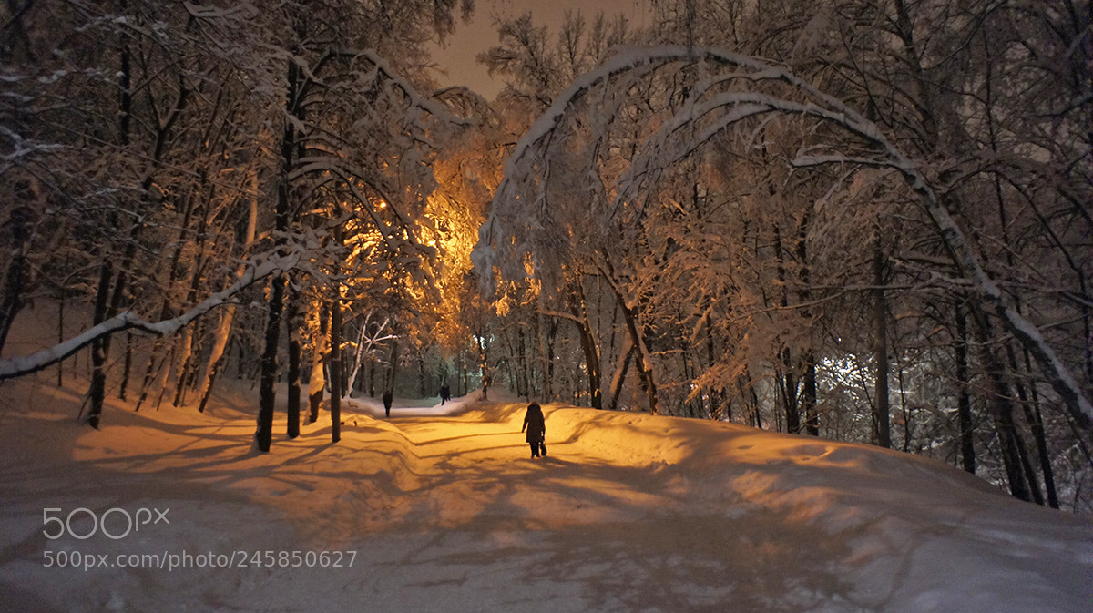 Sony Alpha NEX-5 sample photo. Snow night photography