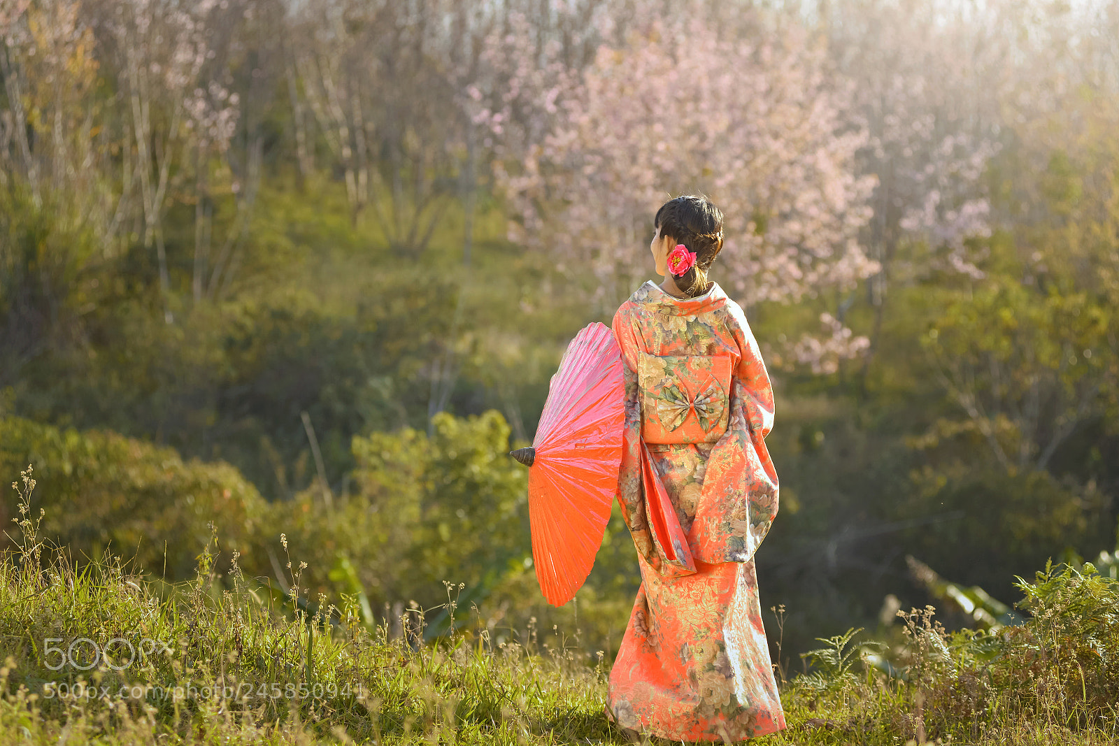 Nikon D800 sample photo. Sakura photography