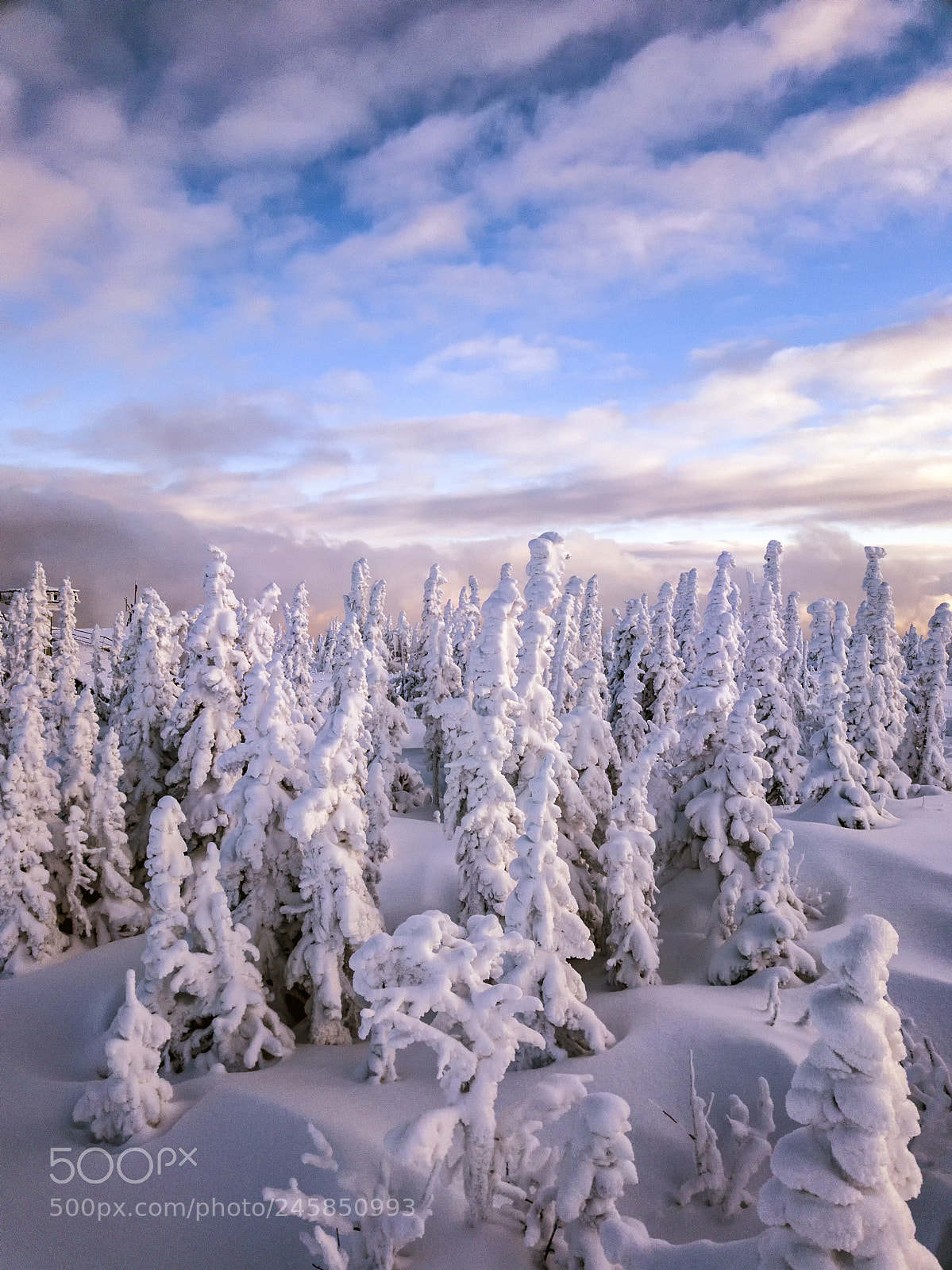 DJI FC220 sample photo. Snowy sunset on mountain photography