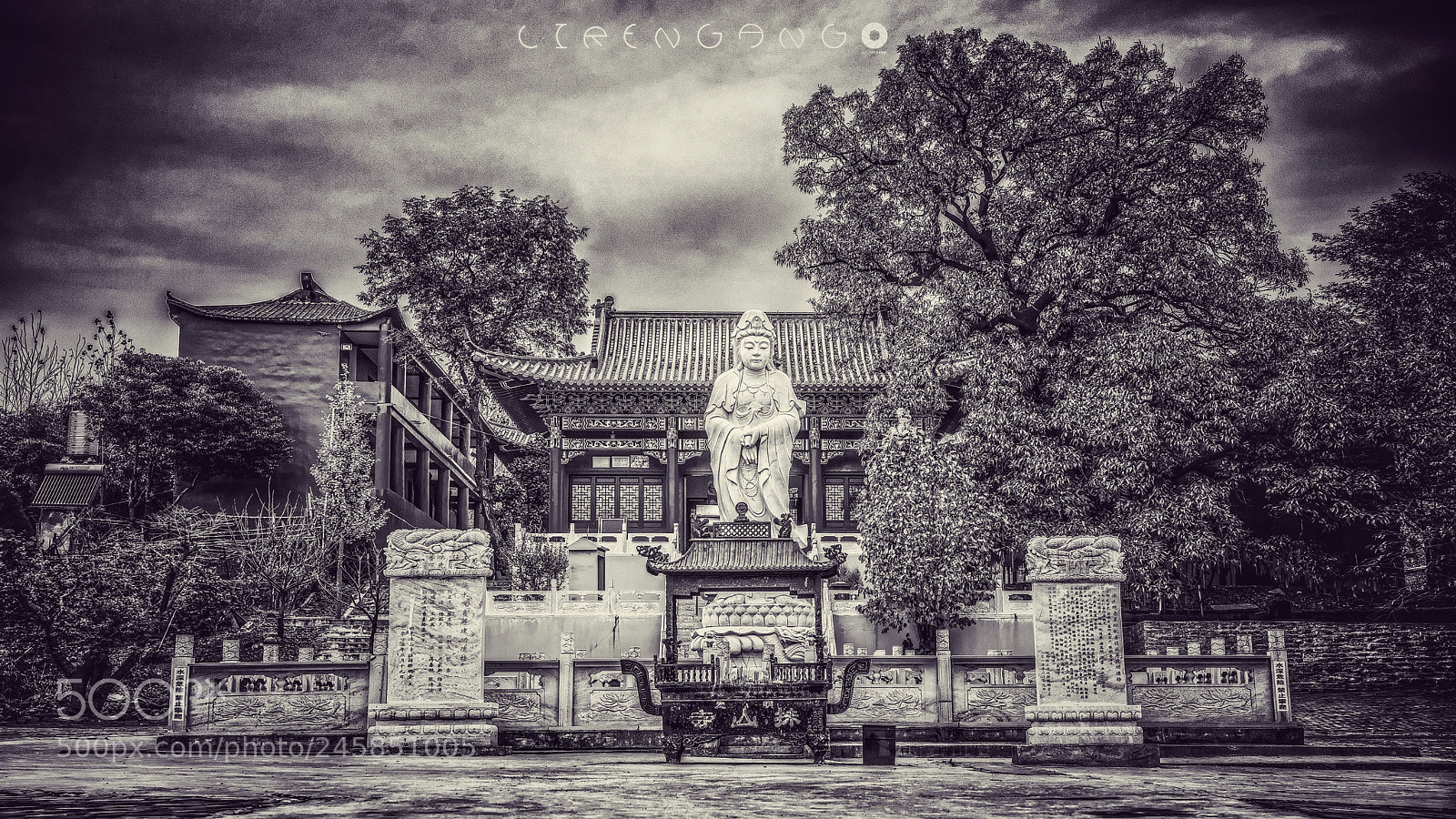 Nikon D800 sample photo. Untitled photography