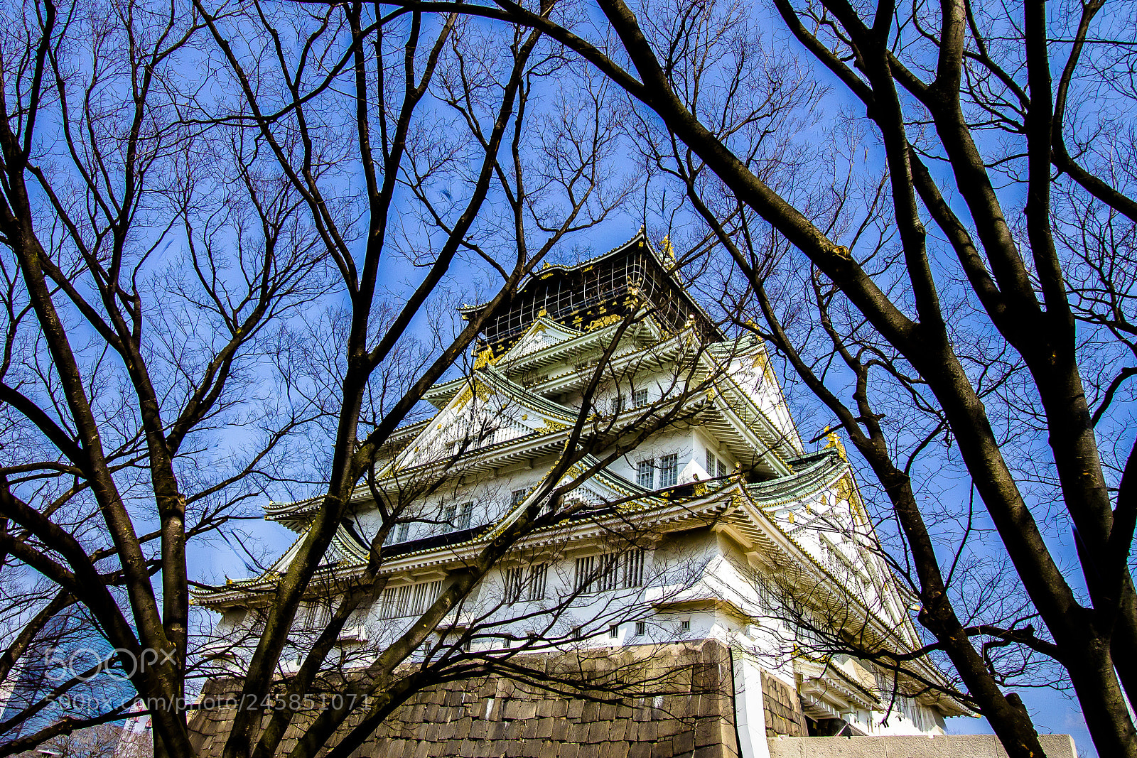 Canon EOS 60D sample photo. Osaka castle photography