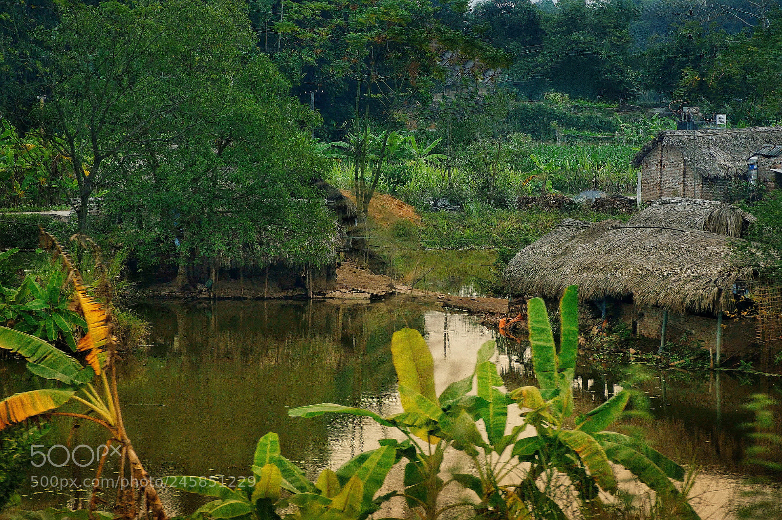 Nikon D3200 sample photo. Untitled photography