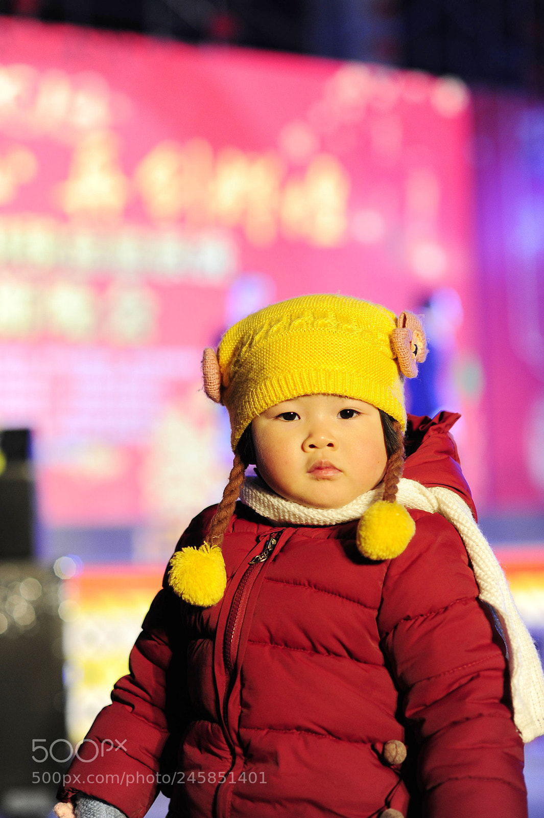 Nikon D700 sample photo. Untitled photography