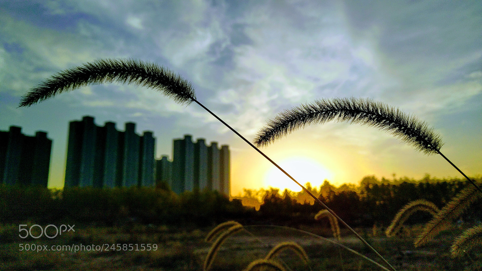 Google Nexus 6P sample photo. Img_20161110_164631.jpg photography